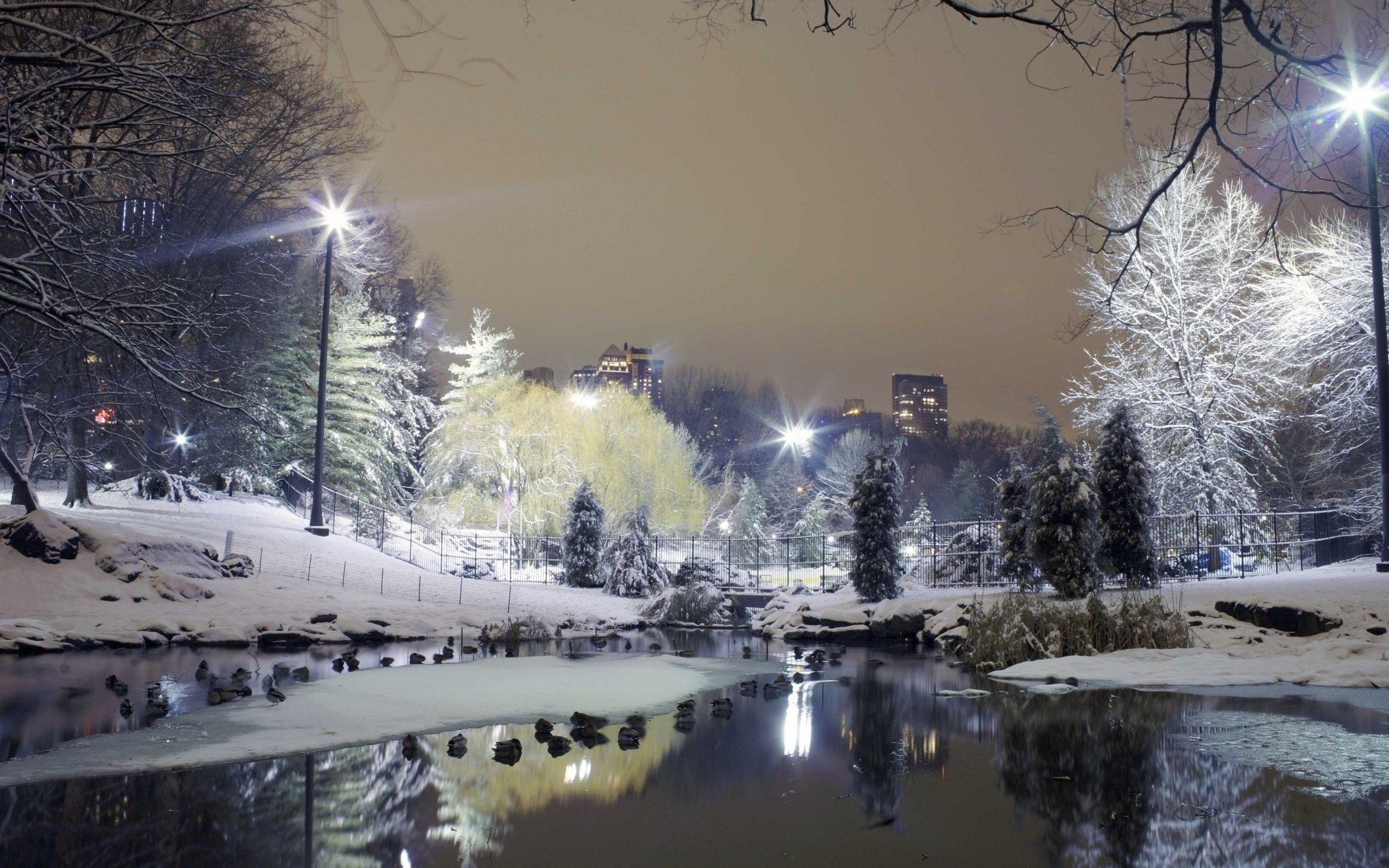 Parco cittadino innevato di notte, 2560x1600 2K, Desktop