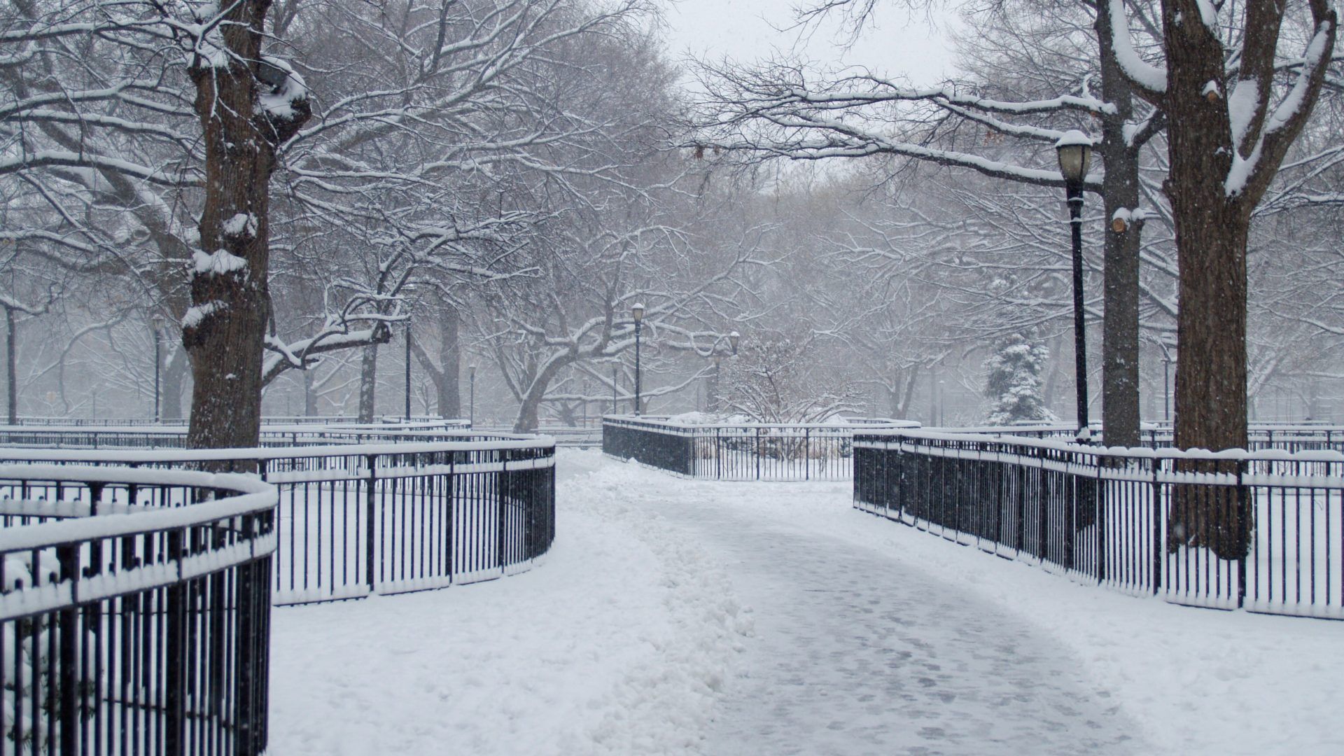 Parco innevato con lampione, 1920x1080 1080p, PC Desktop