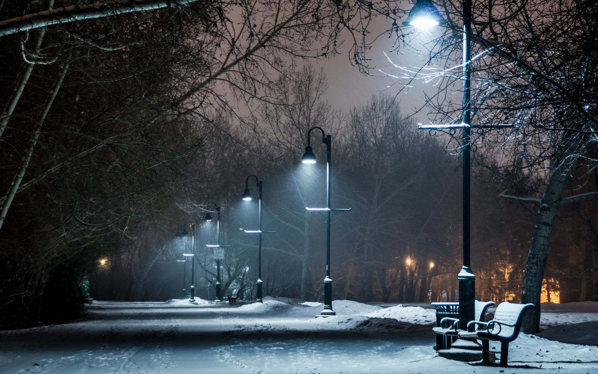 Parco innevato notturno con lampioni, 1920x1200 WUXGA, Desktop