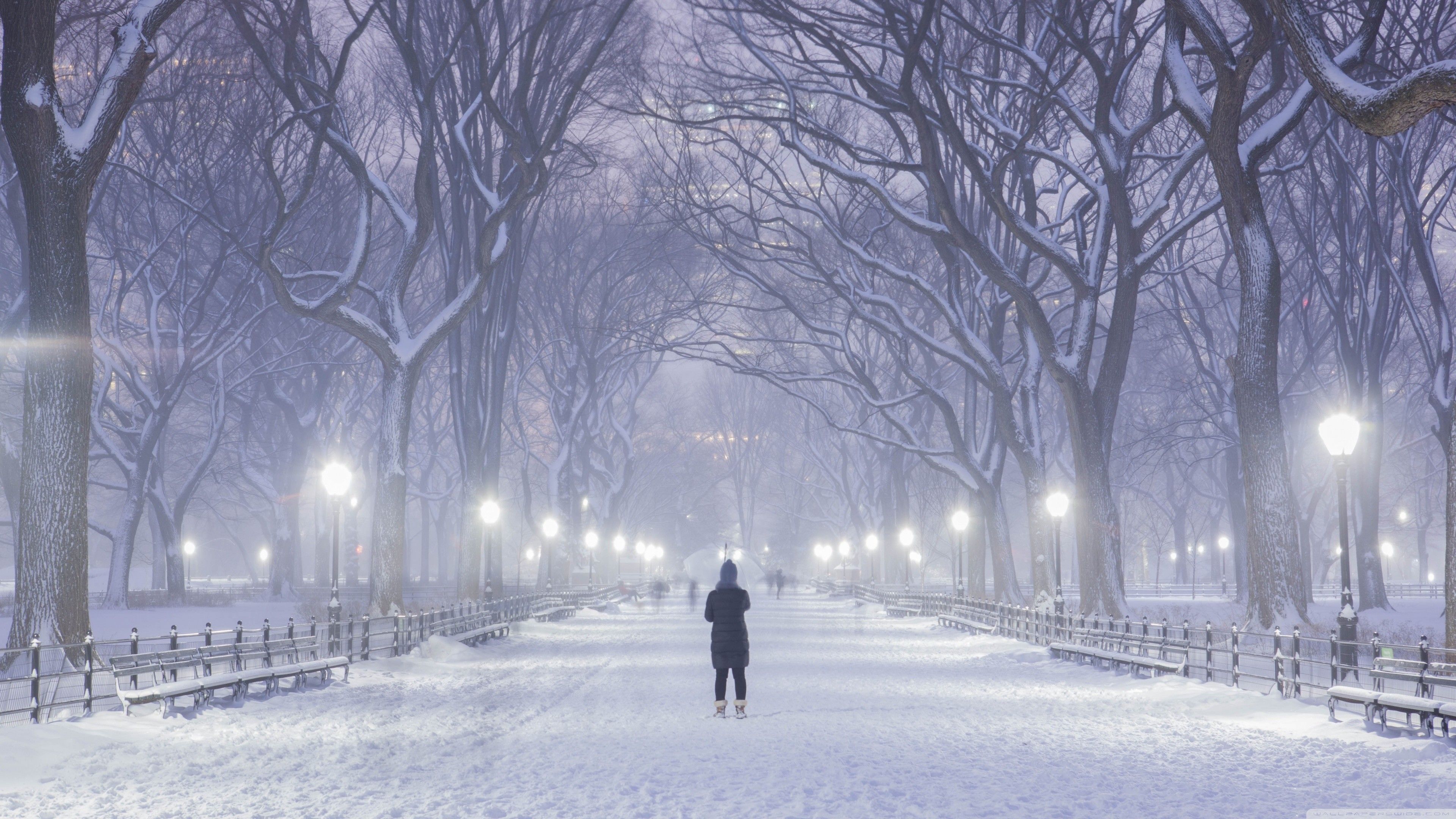 Parco cittadino innevato di notte, 3840x2160 UHD, Monitor 4K