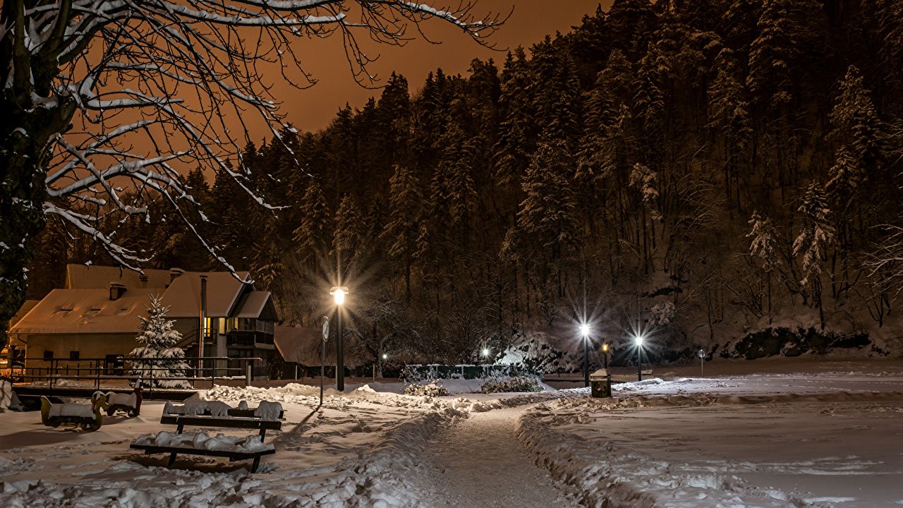 Villaggio innevato notturno con abeti, 1280x720 720p, Laptop