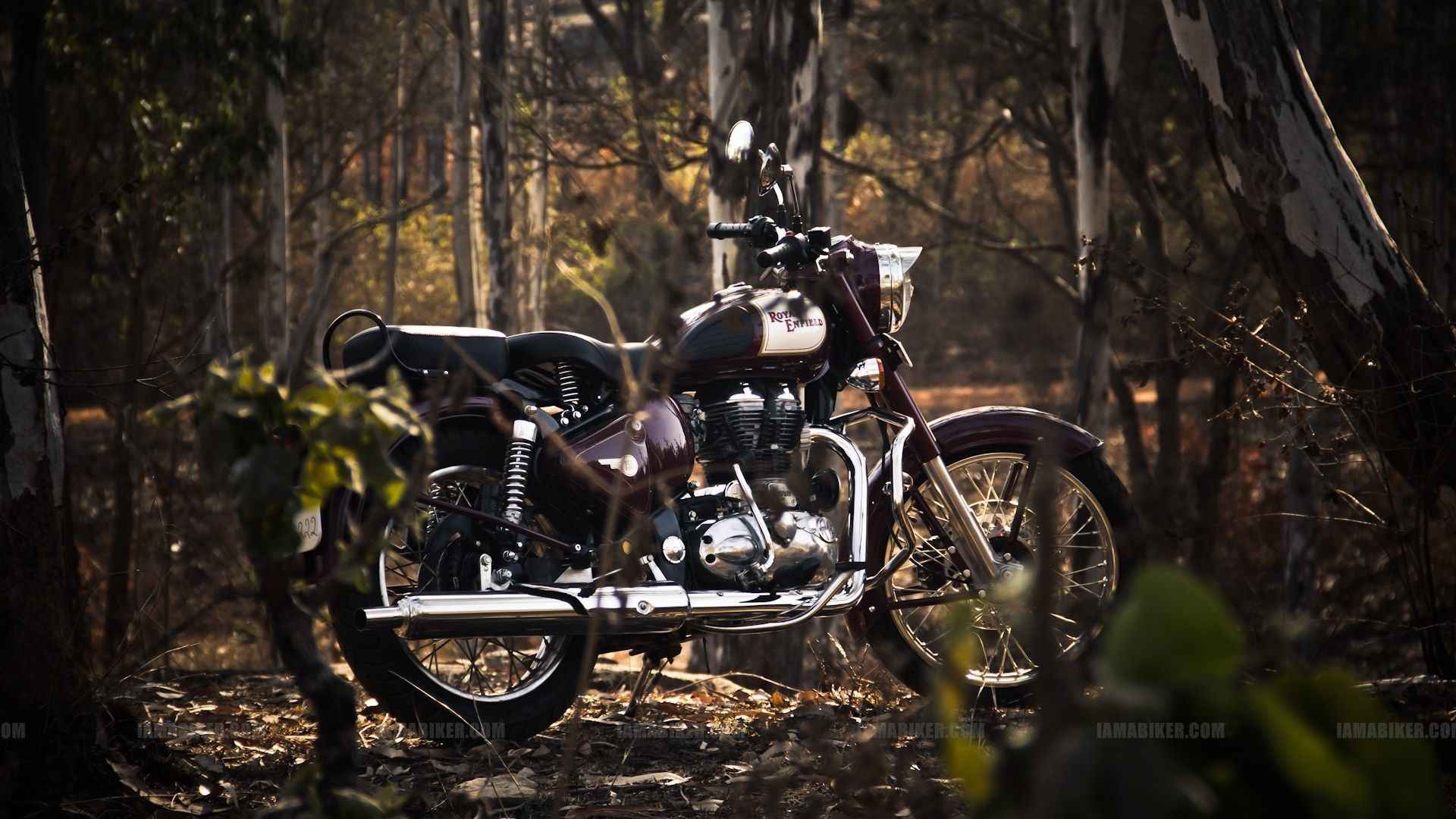 Royal Enfield Classic 350 nel bosco, 1920x1080 1080p, PC Desktop