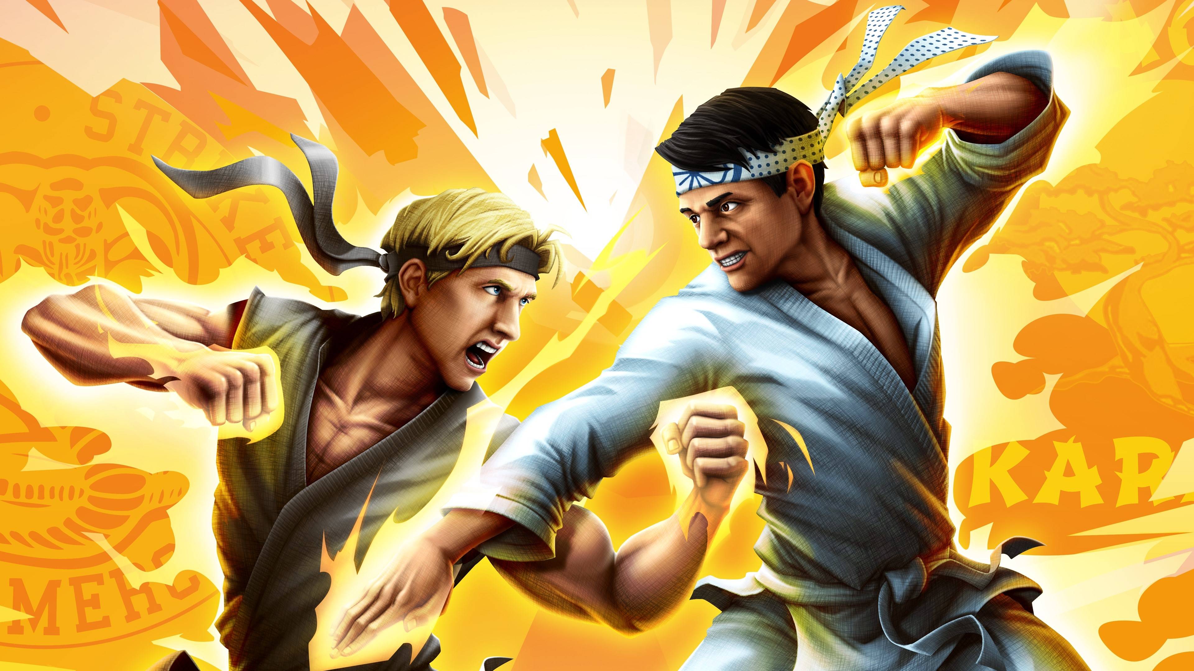 Cobra Kai combattimento karate, 3840x2160 4K, Desktop 4K