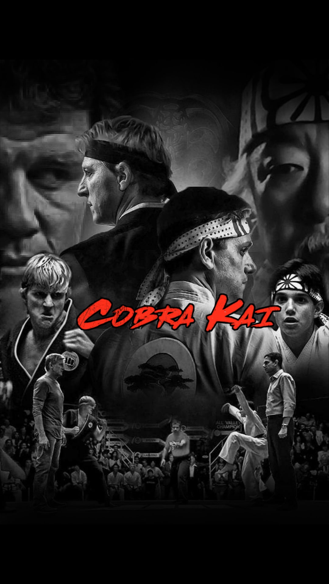 Cobra Kai poster personaggi, 1080x1920 Full HD Verticale, iPhone
