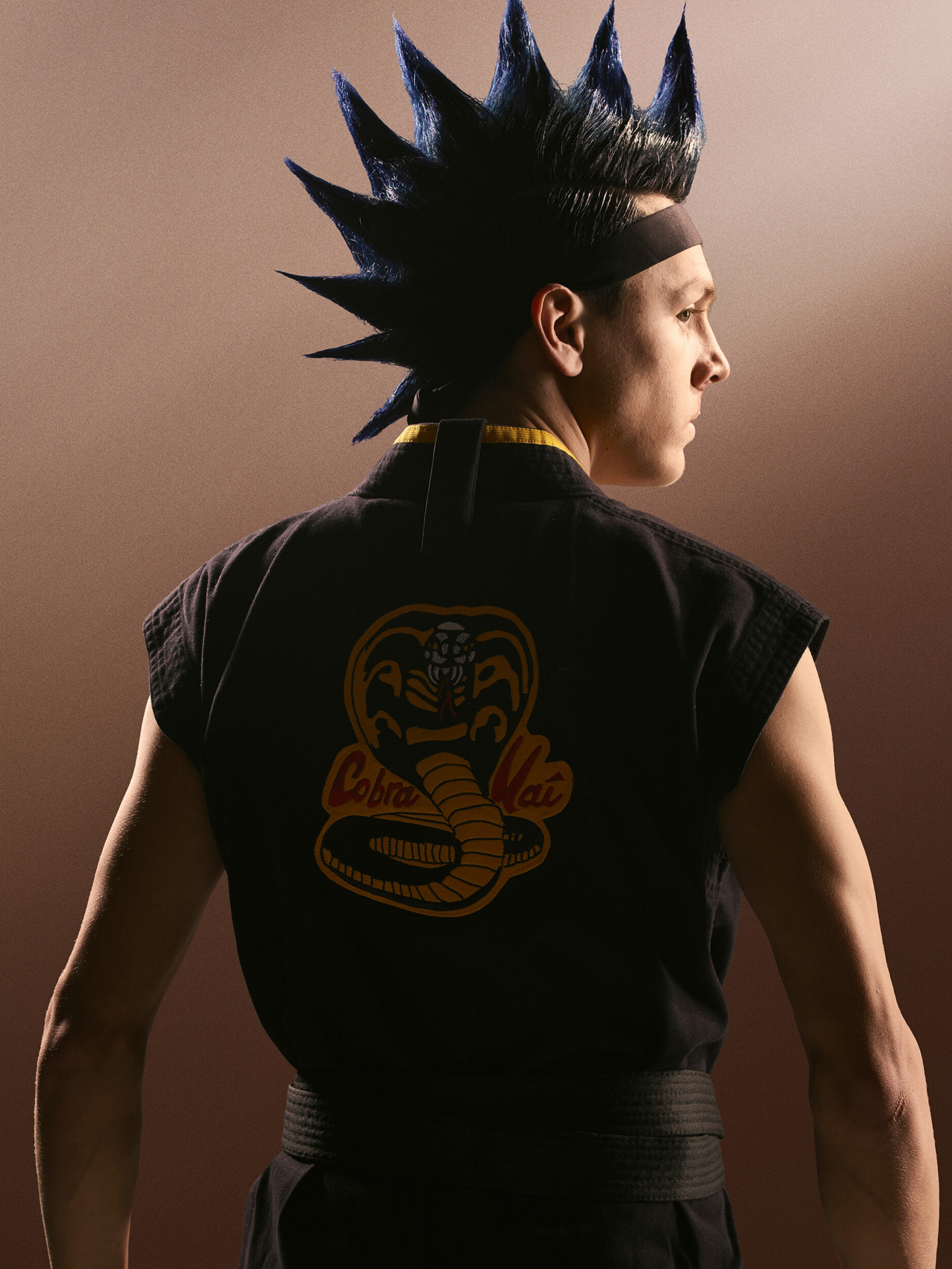 Hawk Cobra Kai logo giacca, 1536x2048 Verticale, Telefono