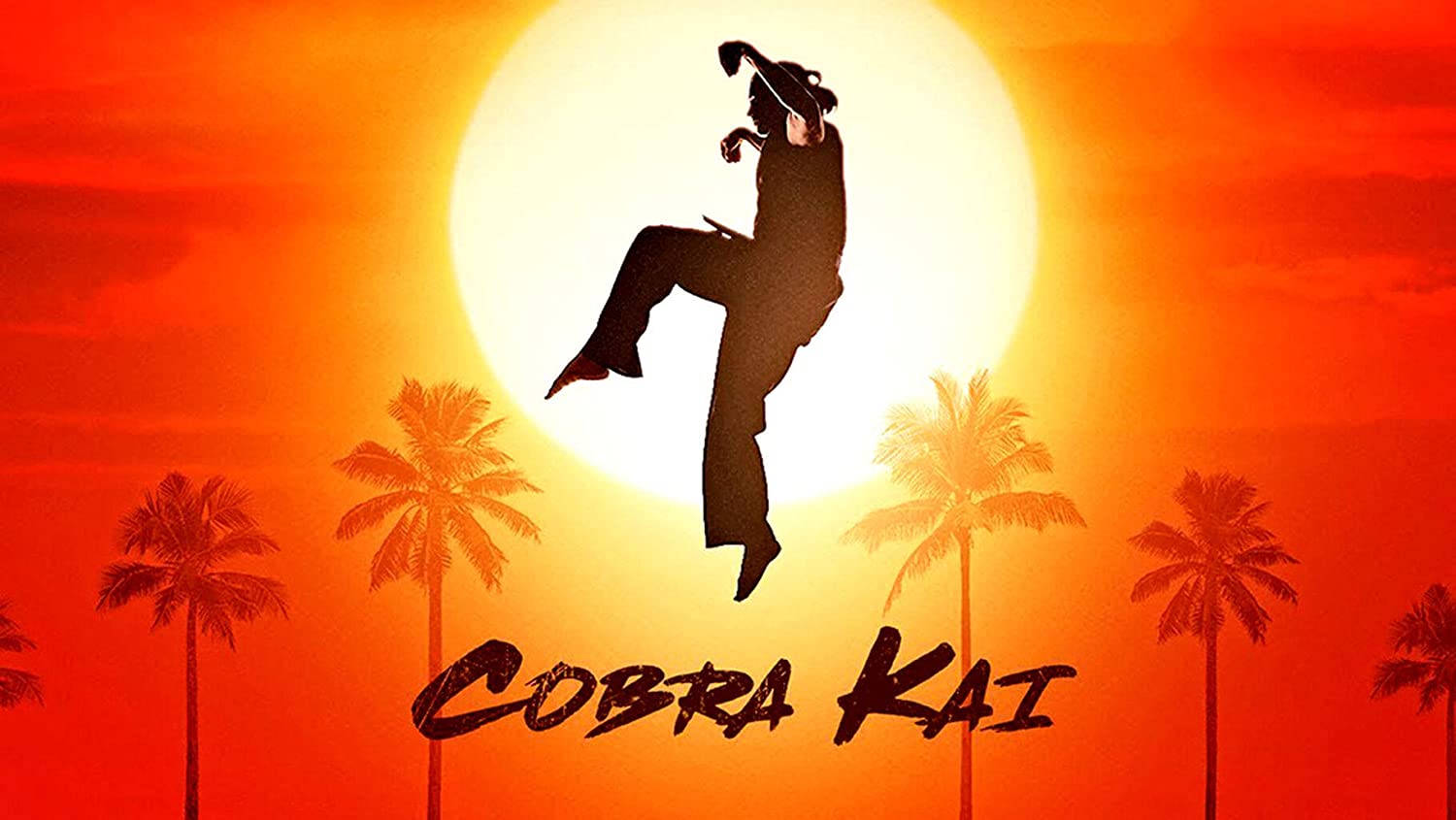 Cobra Kai silhouette karate tramonto, 1500x845 720p, Laptop