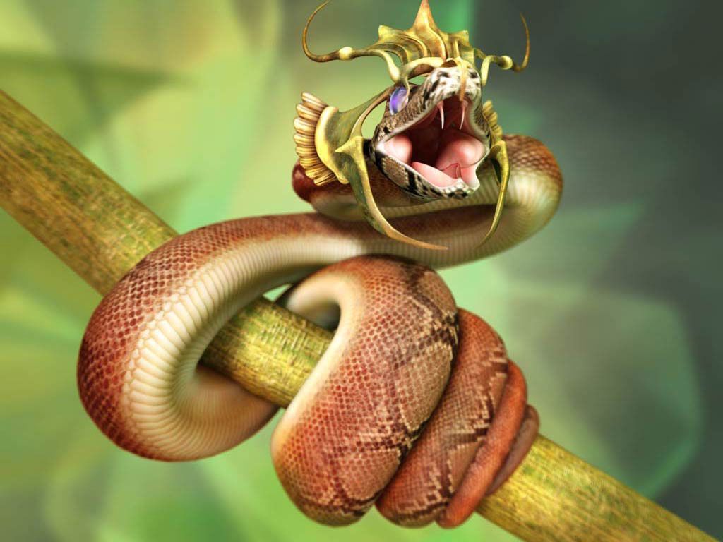 Cobra reale avvolto su ramo, 1024x768 HD, Desktop