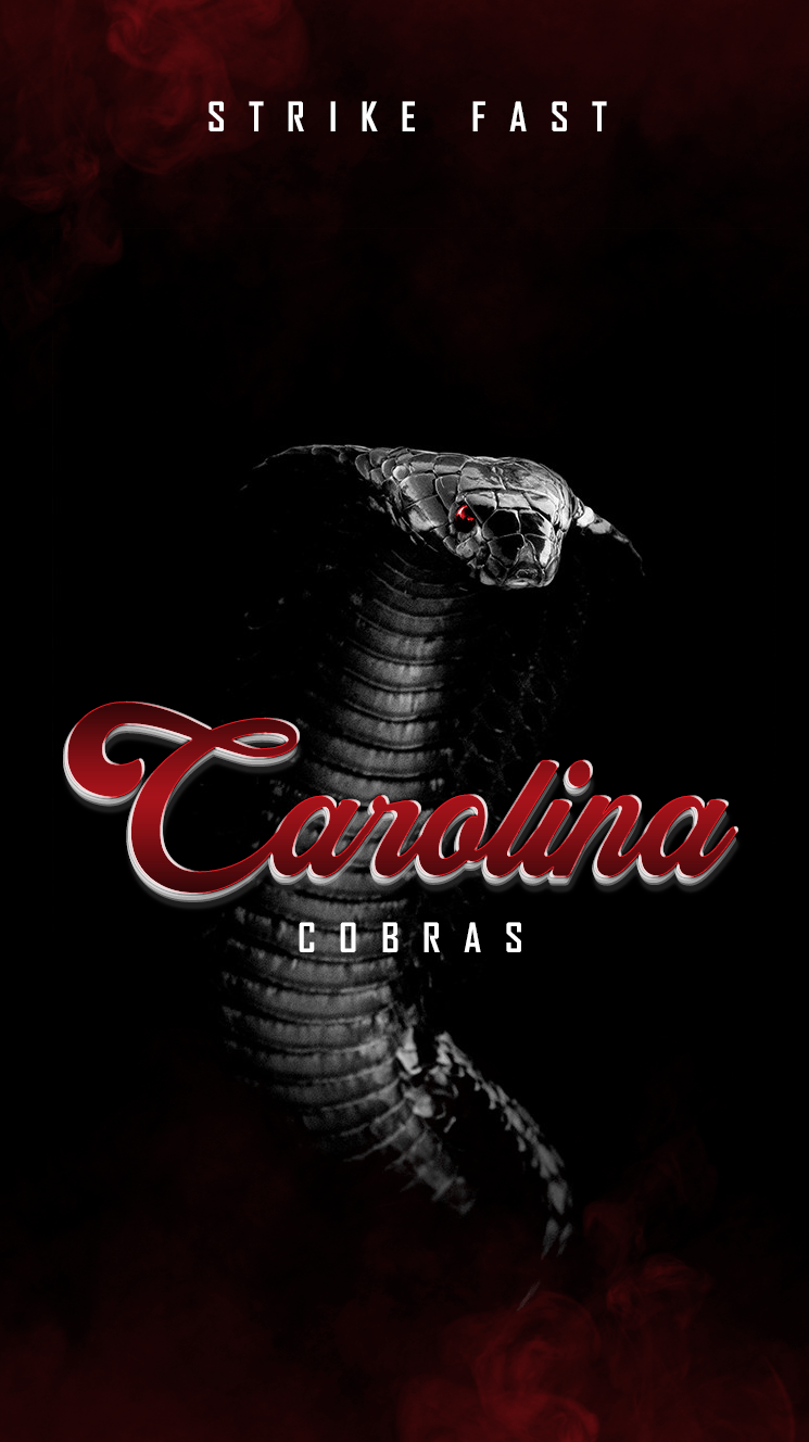 Cobra reale attorcigliato nell'erba, 1600x1200 HD, Desktop
