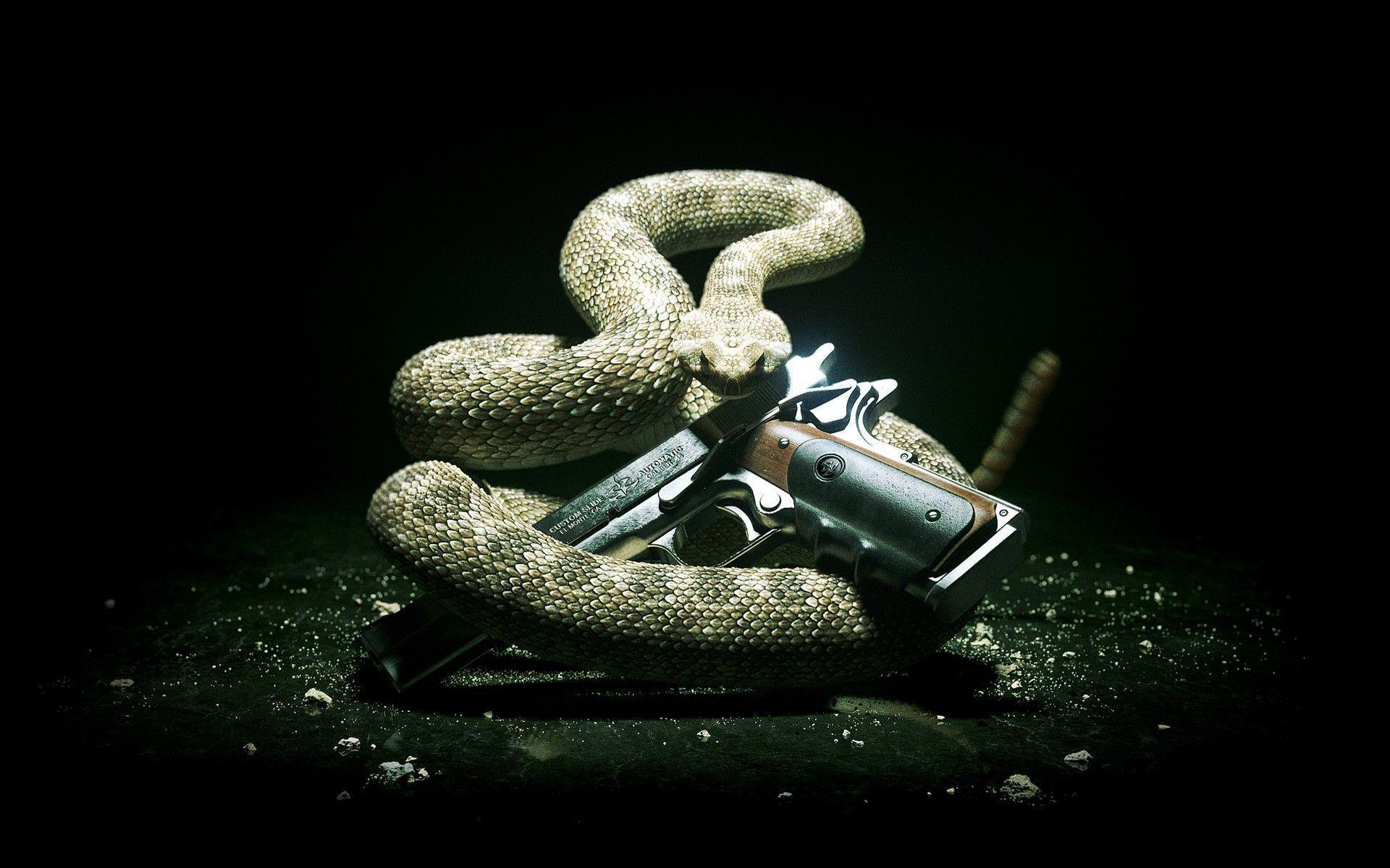 Cobra reale con pistola, 1920x1200 WUXGA, PC