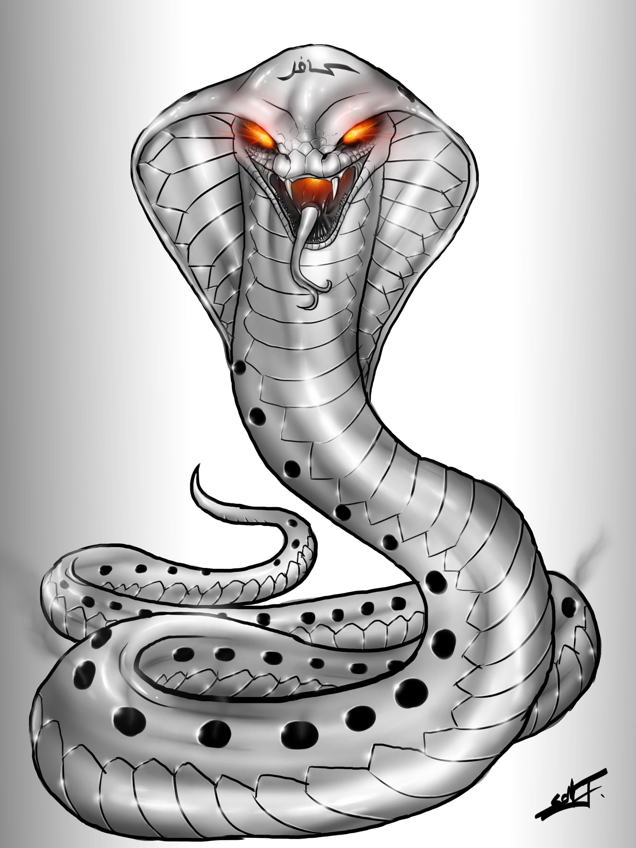 Cobra reale testa dettaglio, 1900x1281 HD Ready, Desktop