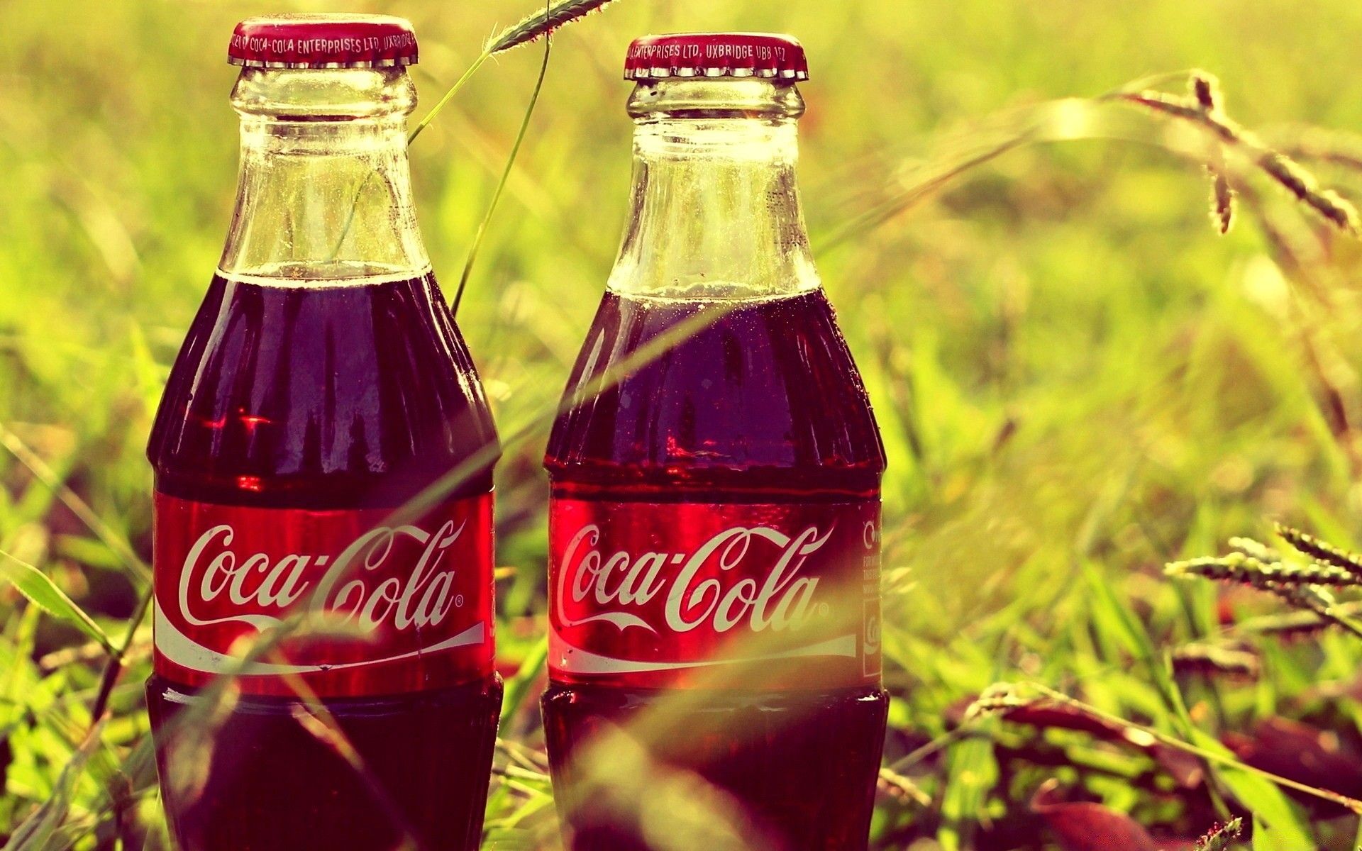 Bottiglie Coca-Cola nell'erba, 1920x1200 Full HD+, Laptop