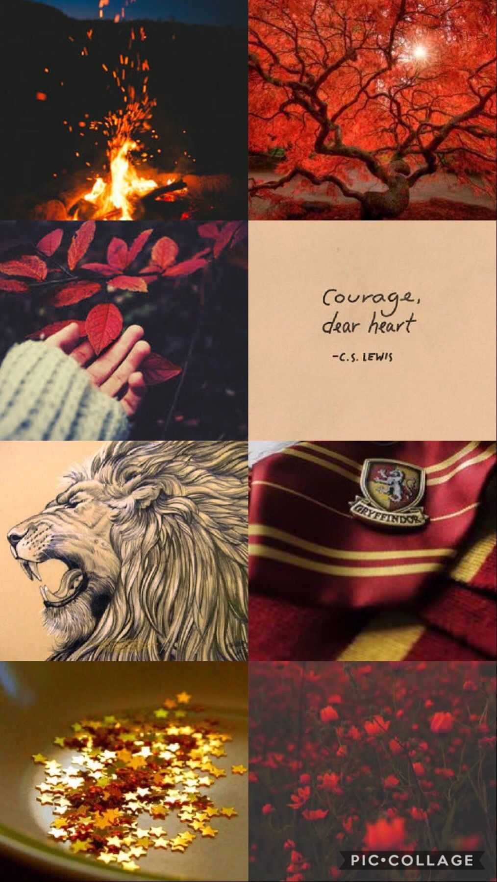 Collage estetico Grifondoro Harry Potter, 1200x1800 Verticale, Mobile