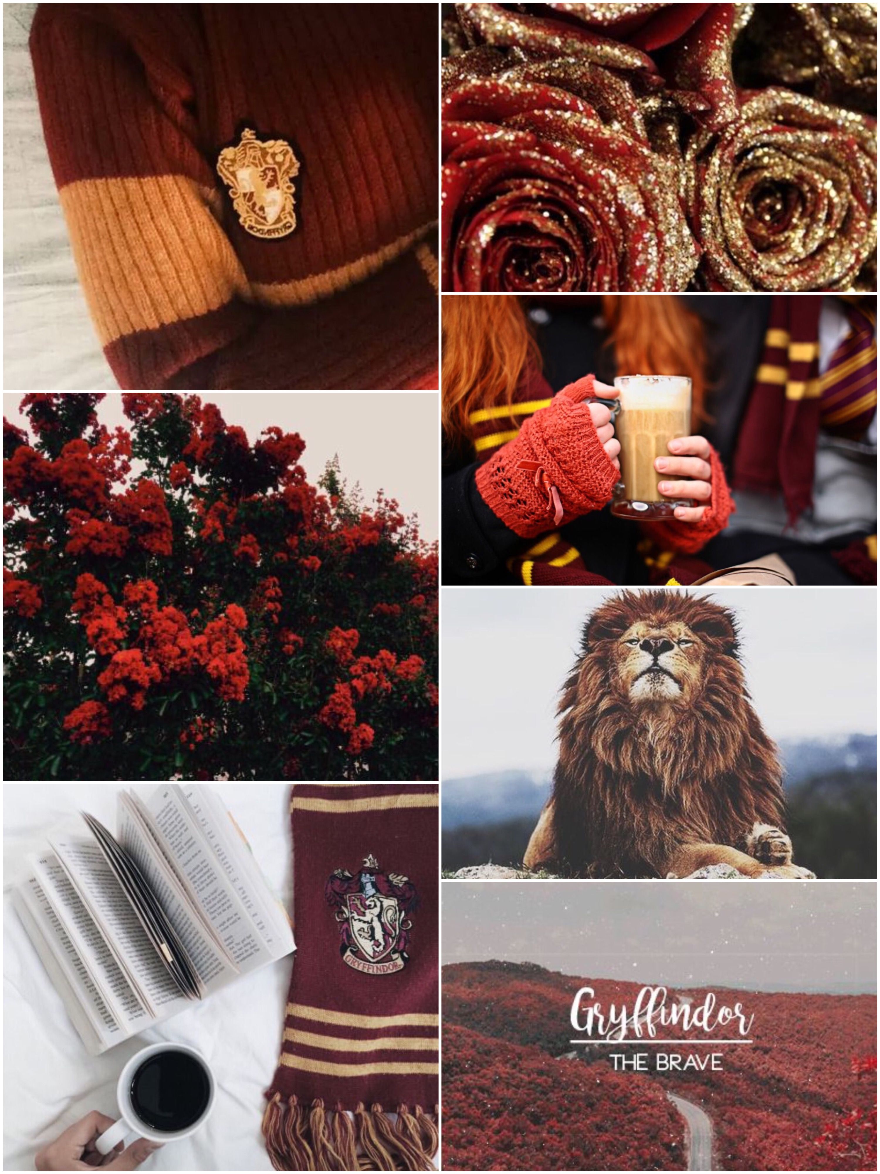 Collage Grifondoro Harry Potter, 853x1280 Full HD Verticale, Realme