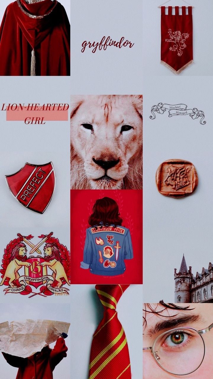 Stemma Serpeverde Harry Potter, 2560x1440 1440p, Desktop