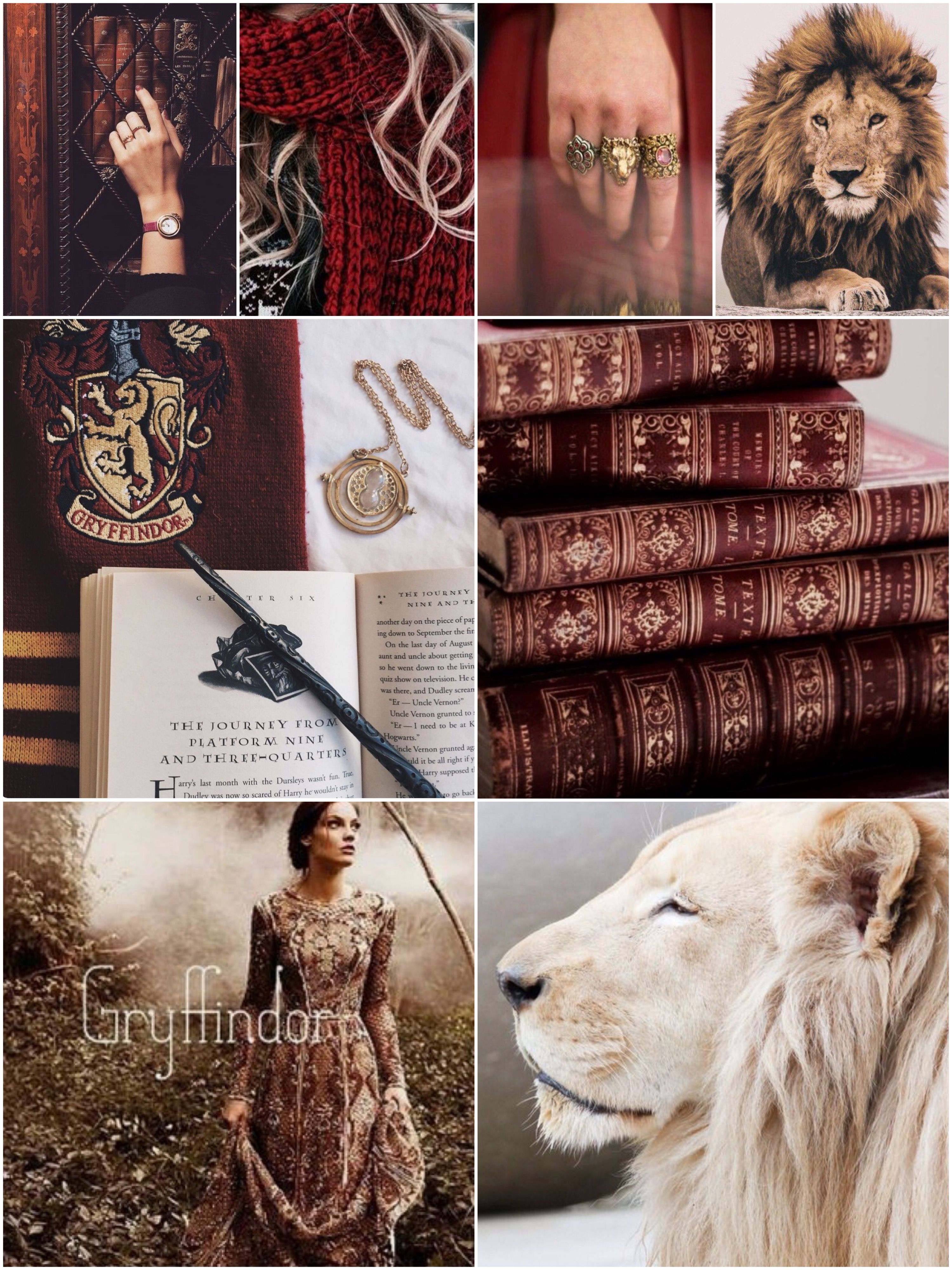 Collage Grifondoro Harry Potter, Hogwarts, 3000x4000 Verticale, Telefono