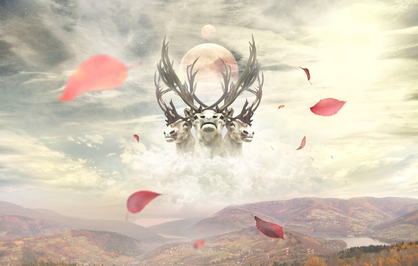 cervo surreale nel cielo, petali, 1332x850 HD, Desktop
