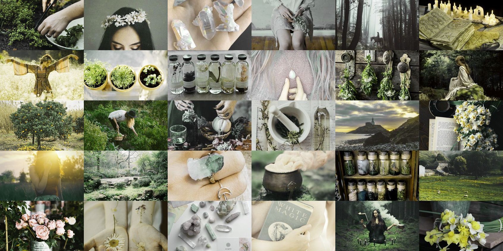 Collage natura verde bosco, 1692x846 HD, Desktop