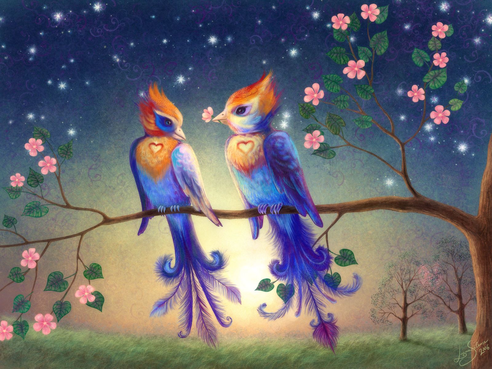 Colombe dell'amore fantasy notturne, 1600x1200 HD Ready, Laptop