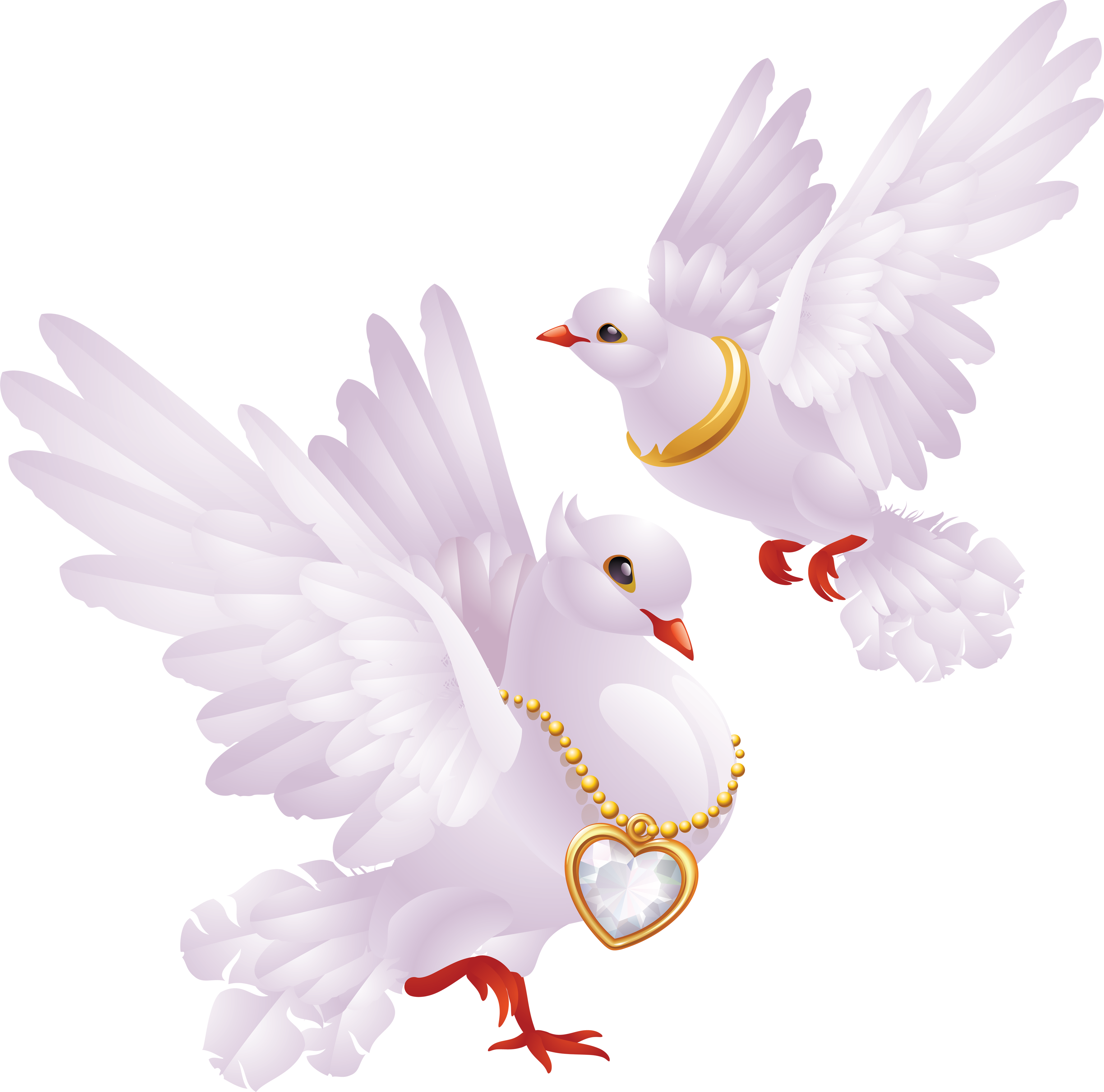 Colomba bianca in volo, 1920x1200 WUXGA, PC
