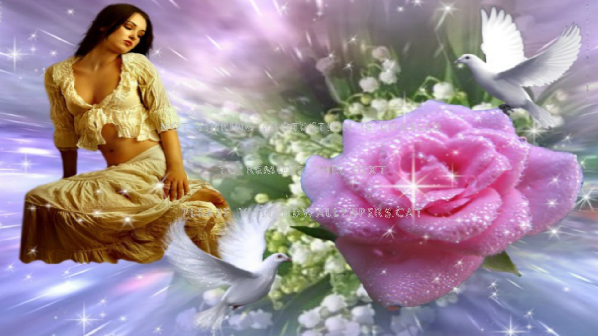 Due colombe bianche innamorate, 1920x1200 Full HD+, Desktop