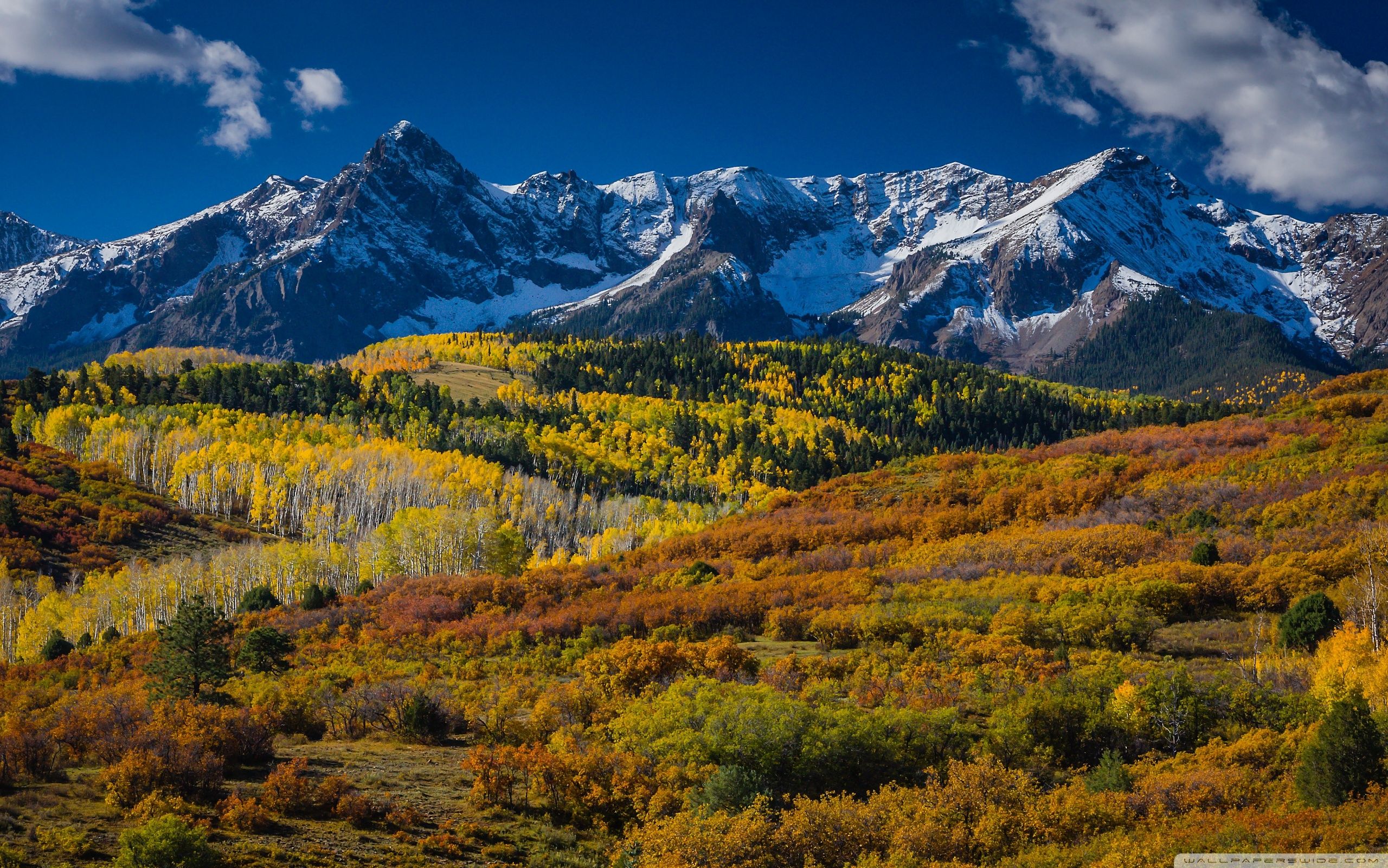 Montagne innevate autunno Colorado, 2560x1600 2K+, MacBook Pro