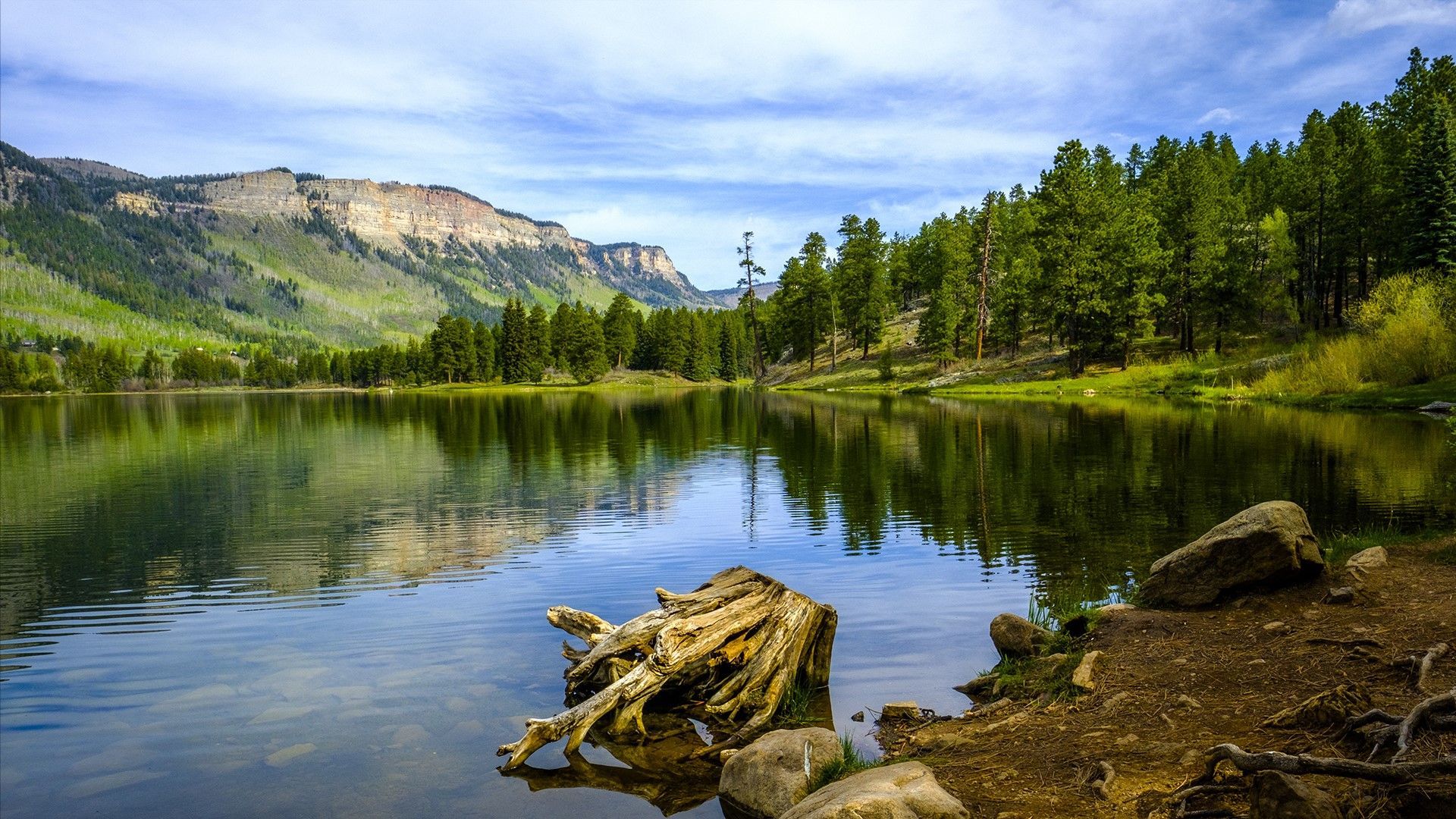 Lago montano con foresta, Colorado, 1920x1080 Full HD, Desktop