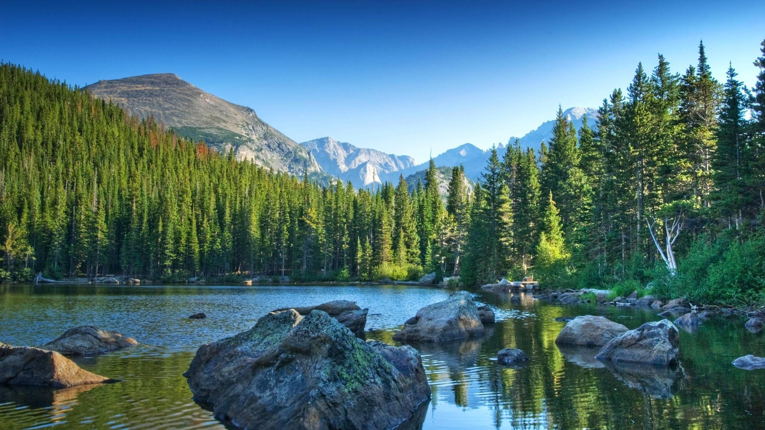 Lago montano con pini, Colorado, 2560x1440 2K QHD, PC