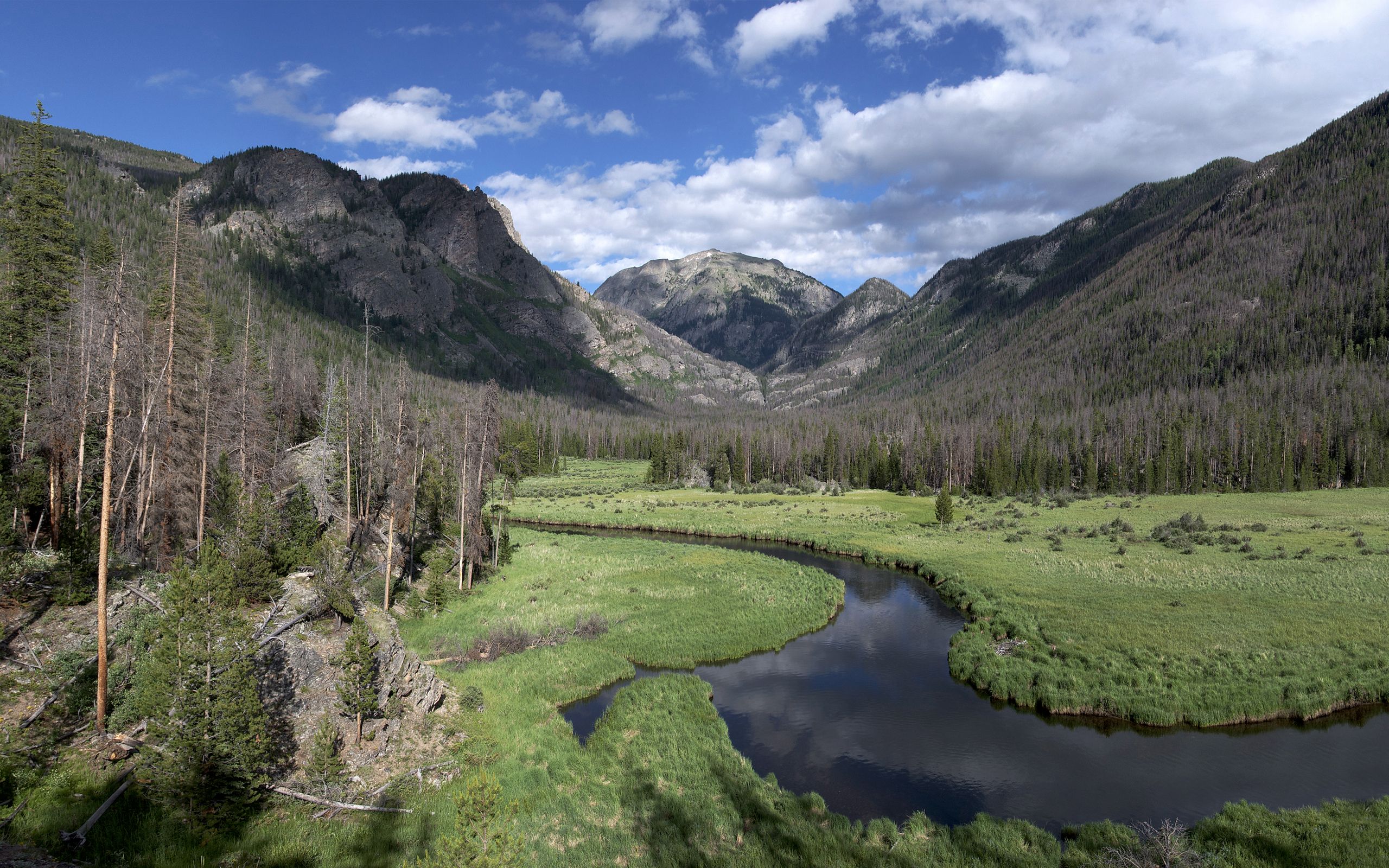 Prato fiorito, montagne Colorado, 1920x1200 WUXGA, Desktop