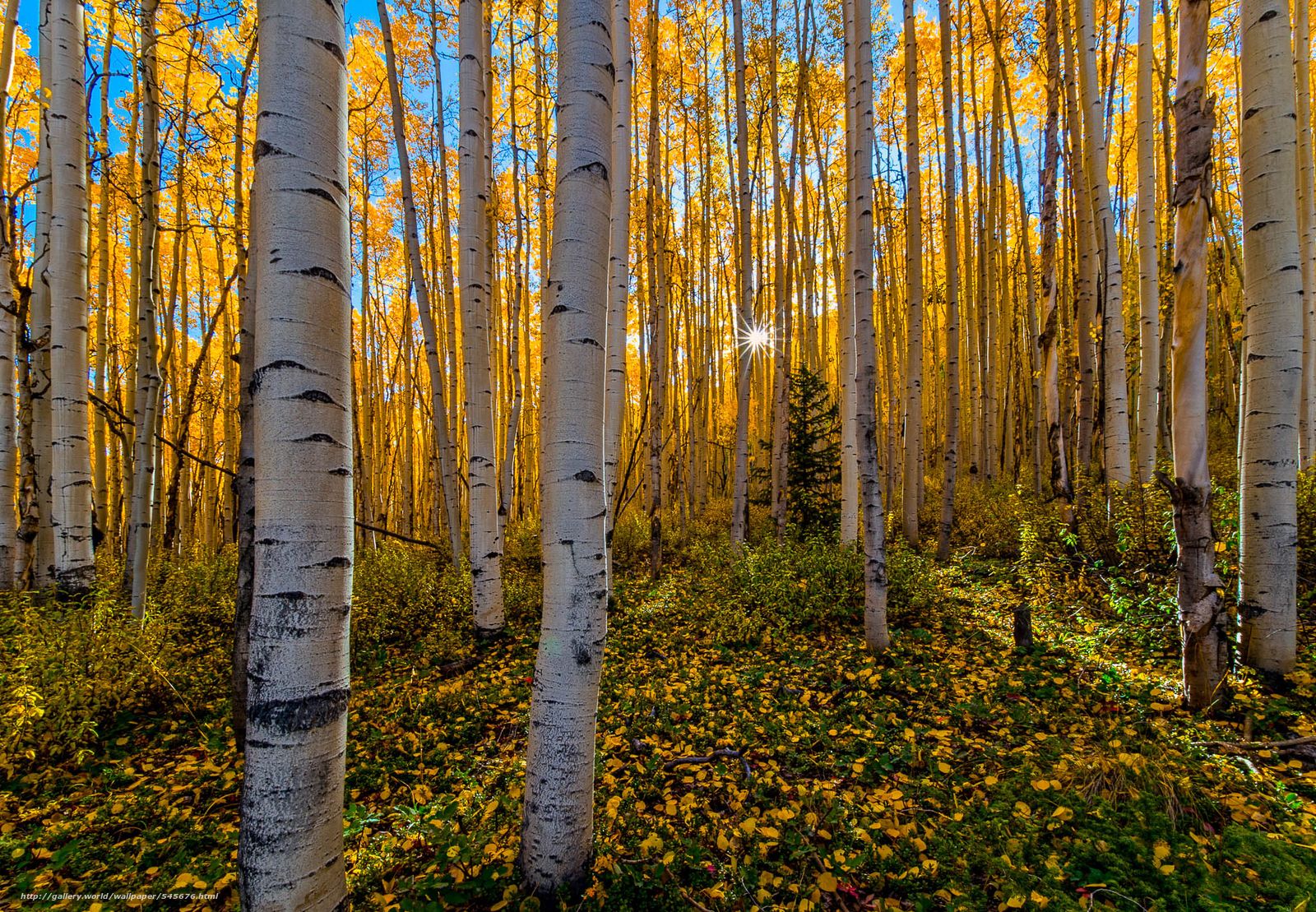 Montagne innevate Colorado, 5120x3200 4K, Smart TV 4K