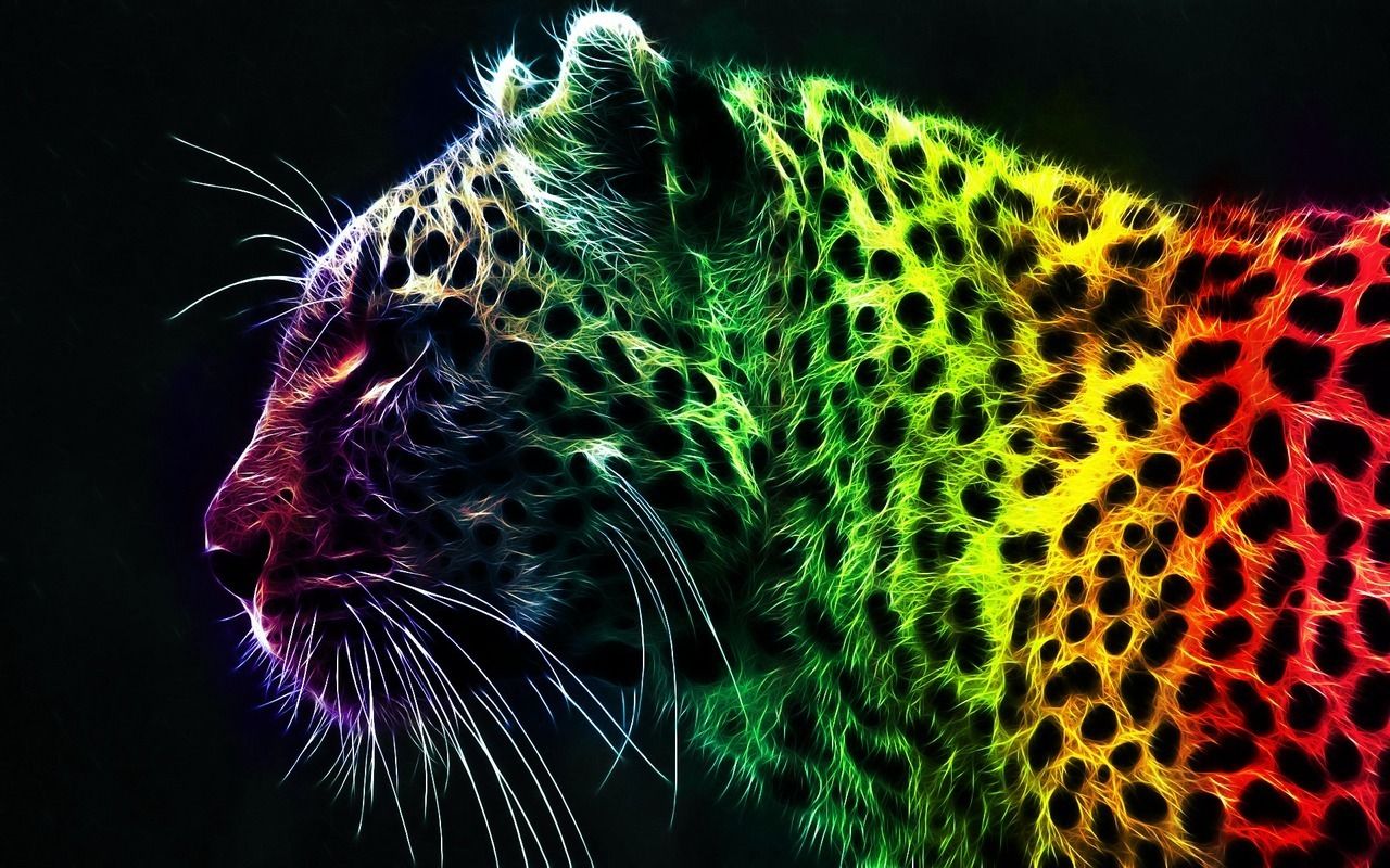 Leopardo arcobaleno colorato, 1280x800 HD, Desktop