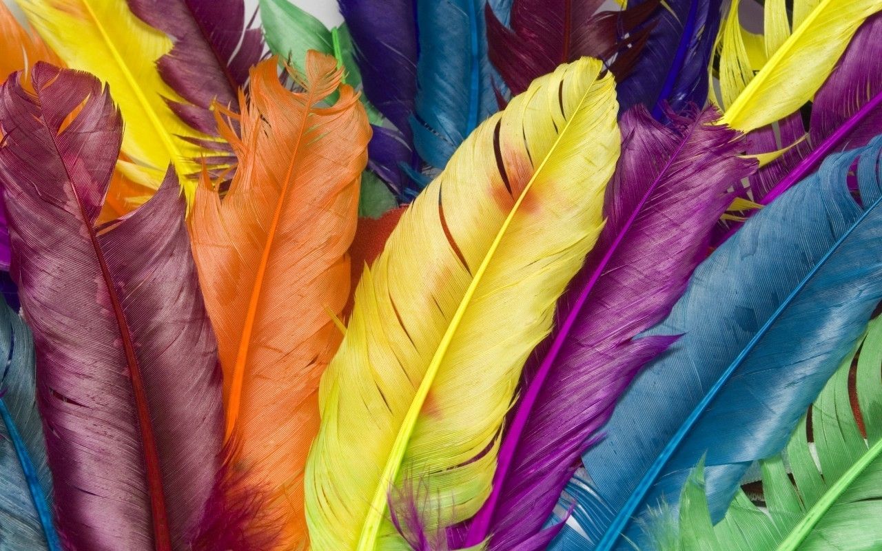 Piume colorate arcobaleno, 1280x800 720p, Laptop