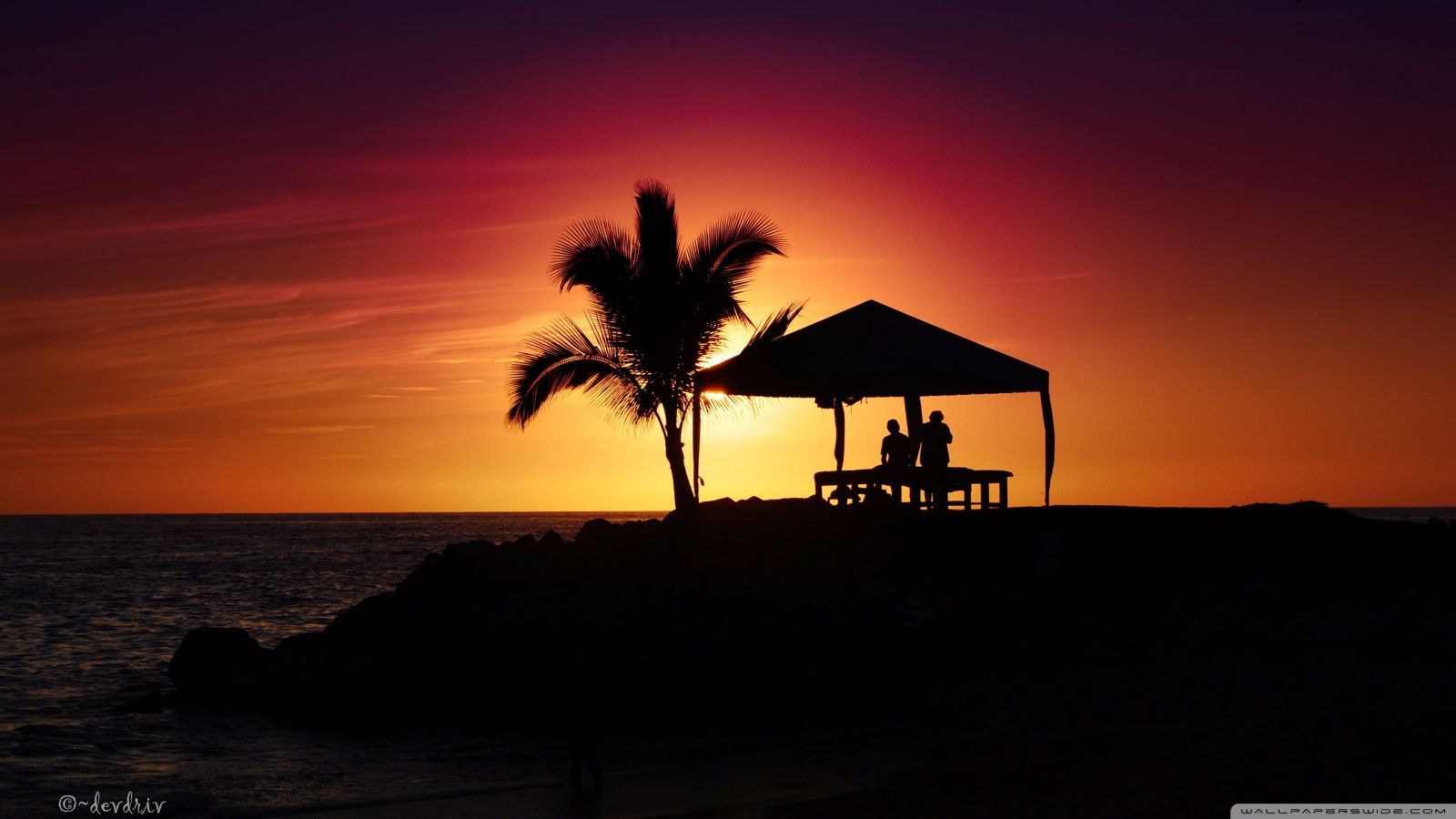 Tramonto tropicale con palma e capanna, 1600x900 900p, Desktop