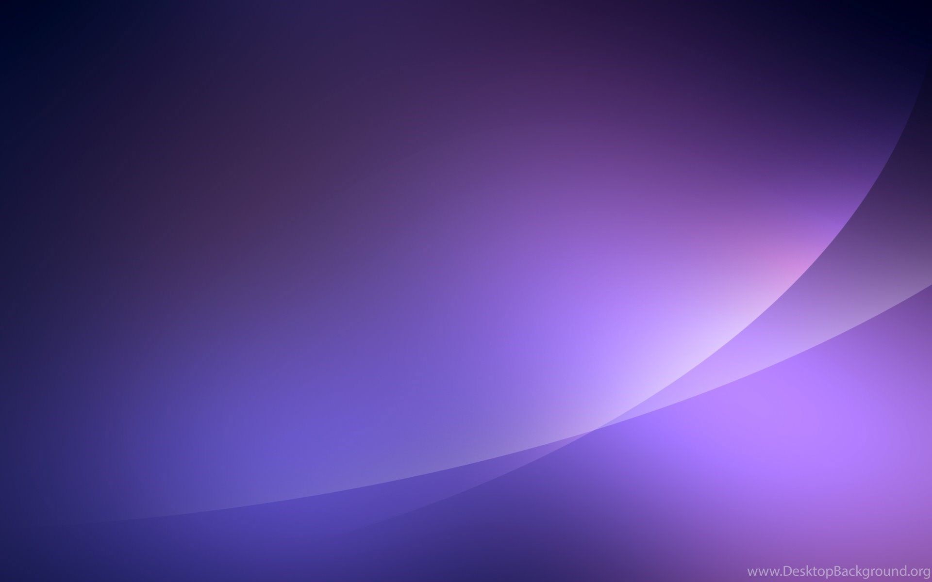Fenicottero gonfiabile mare acquerello, 2560x1600 2K, PC Desktop