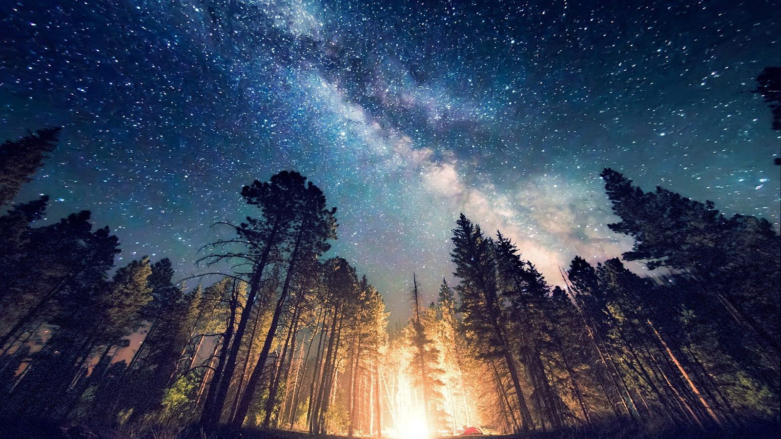Falò nella foresta notturna stellata, sfondi per Computer, 1600x900 HD Ready, Monitor Gaming