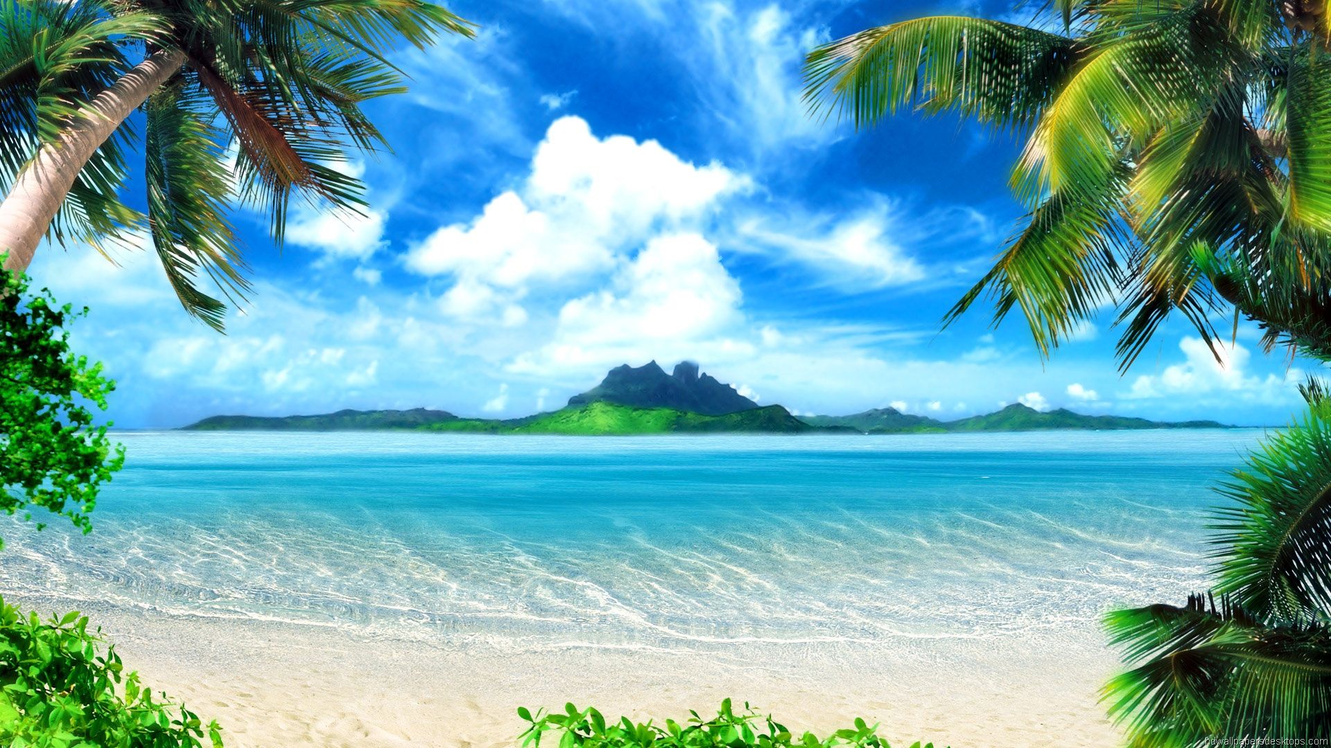 Spiaggia tropicale con palme, sfondi per Computer, 1920x1080 Full HD 1080p, PC