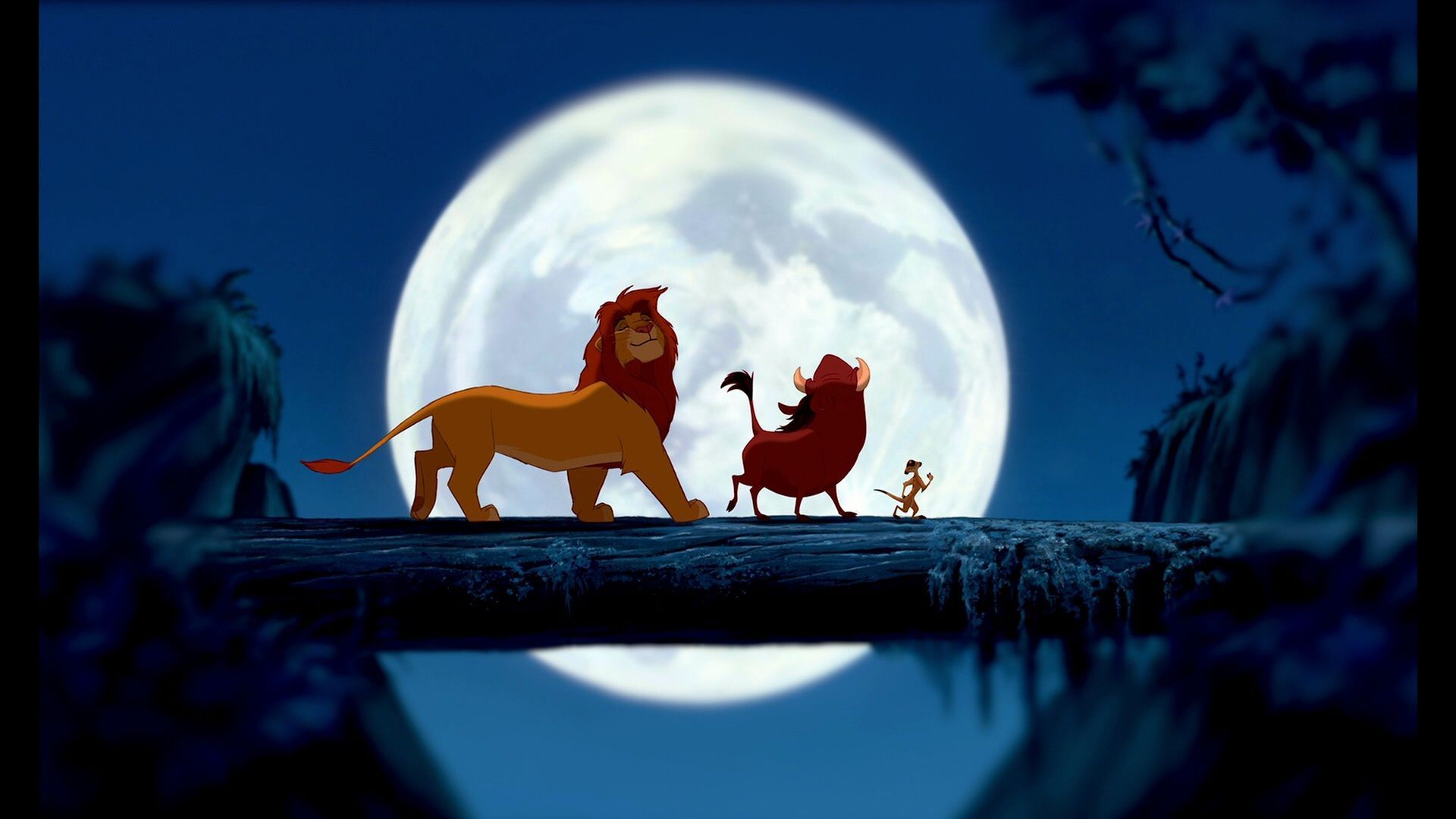 Simba Timon Pumbaa luna piena, sfondi per Computer, 1920x1080 Full HD, PC