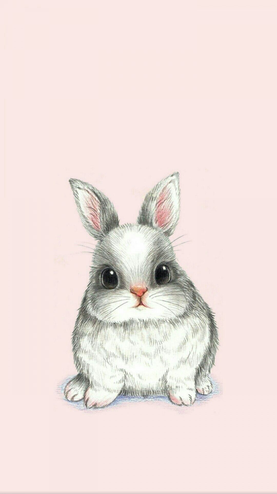 Coniglio illustrato sfondo rosa, 1080x1920 Verticale, Mobile