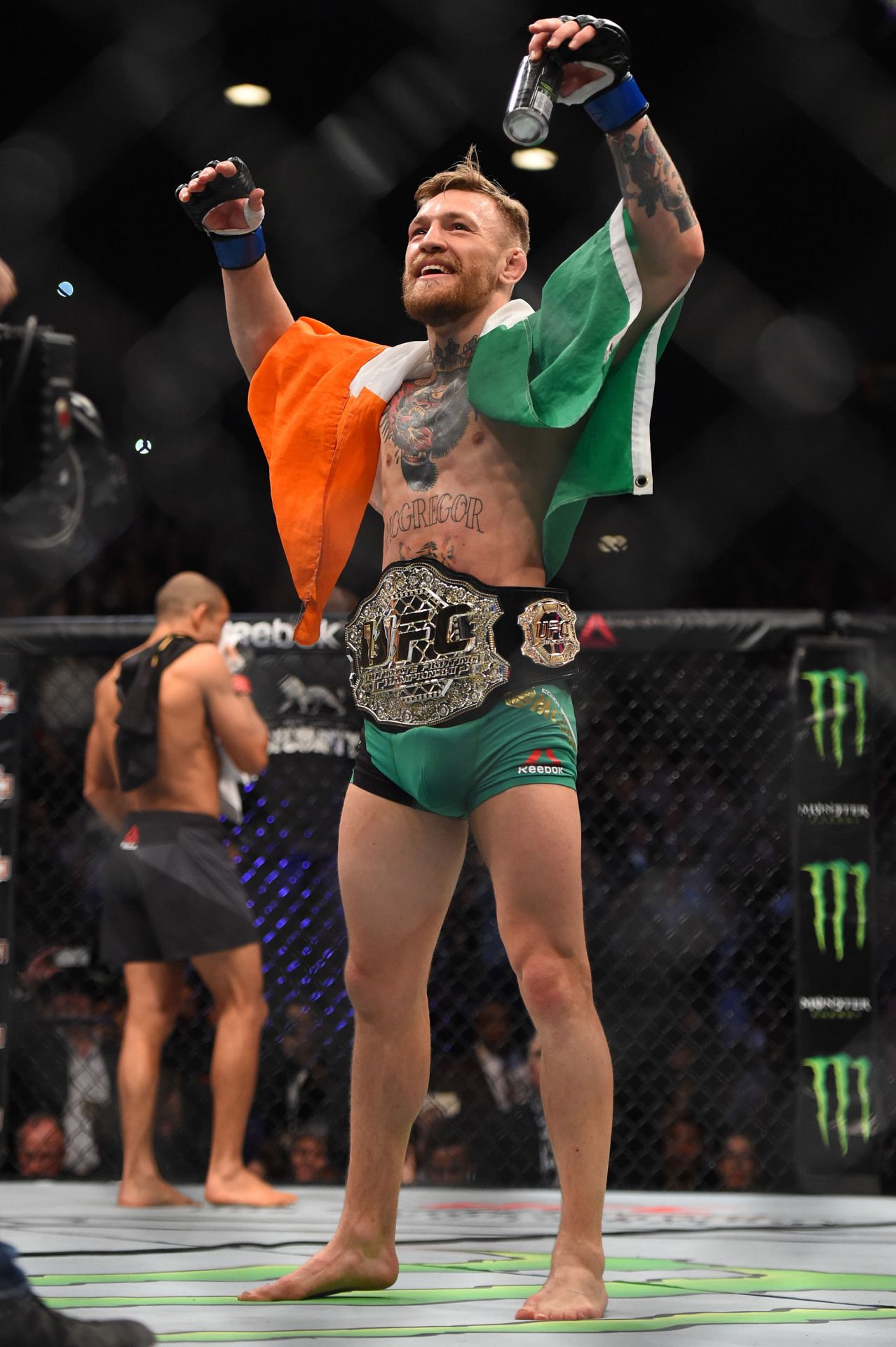Conor McGregor bandiera irlandese UFC, 1278x1920 Full HD Verticale, iPhone Pro Max