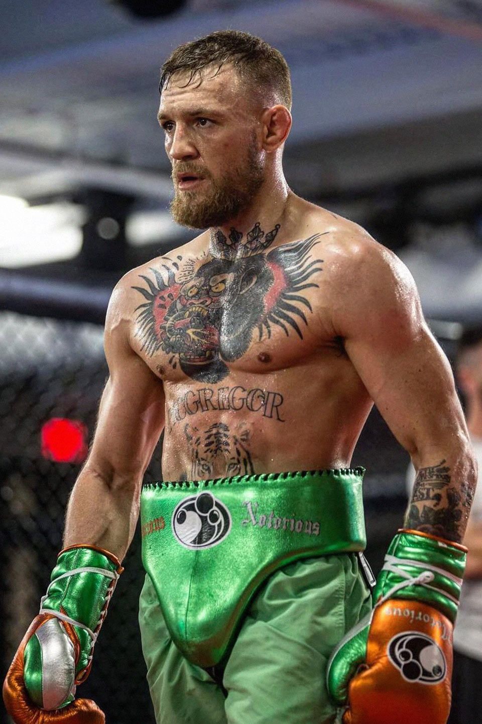 Conor McGregor ottagono UFC, 960x1440 Verticale, iPhone Pro