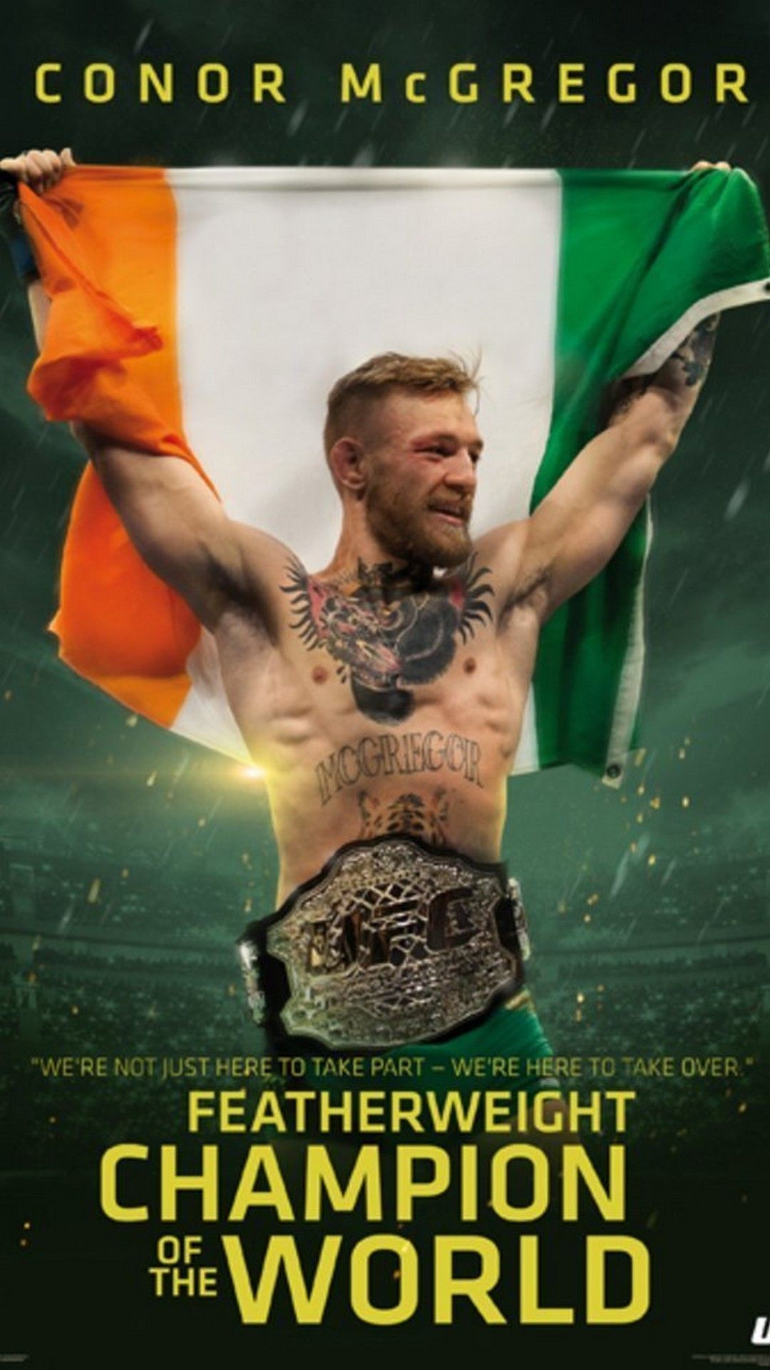 Conor McGregor bandiera irlandese, 1080x1920 Full HD Verticale, iPhone Pro Max