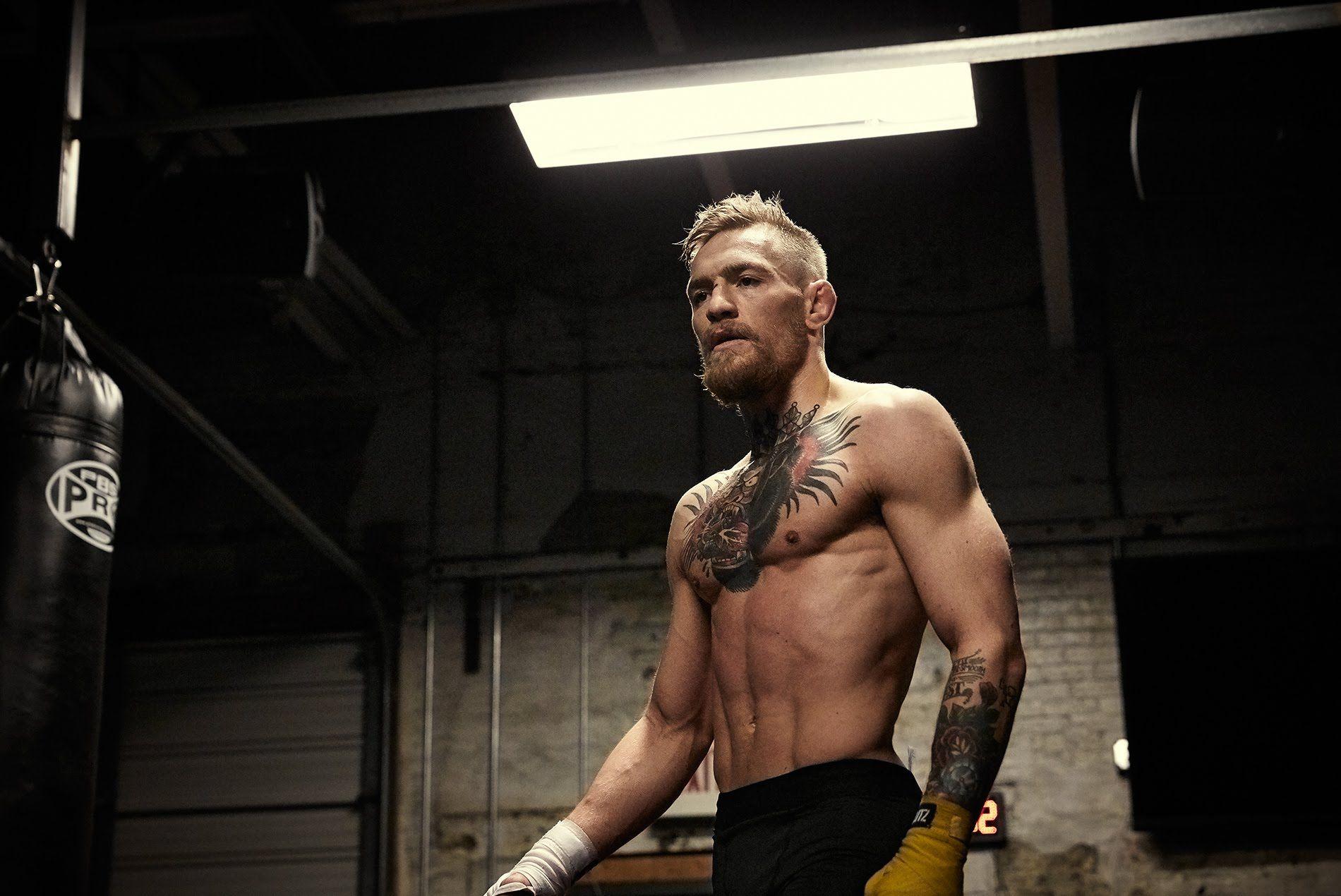 Conor McGregor palestra pugilato, 1900x1270 900p, PC