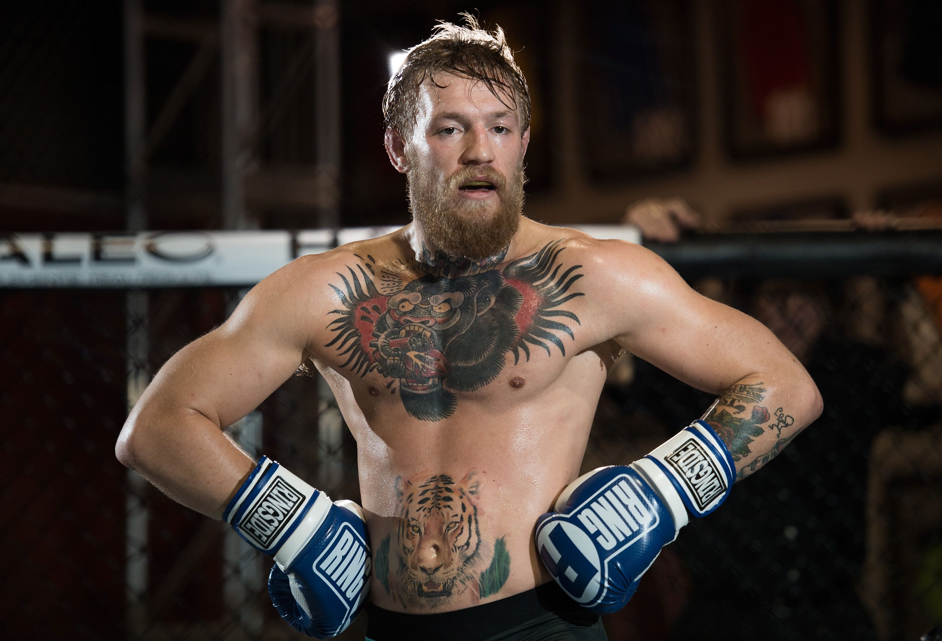 Conor McGregor guantoni boxe, 3000x2044 2K+, Monitor Gaming