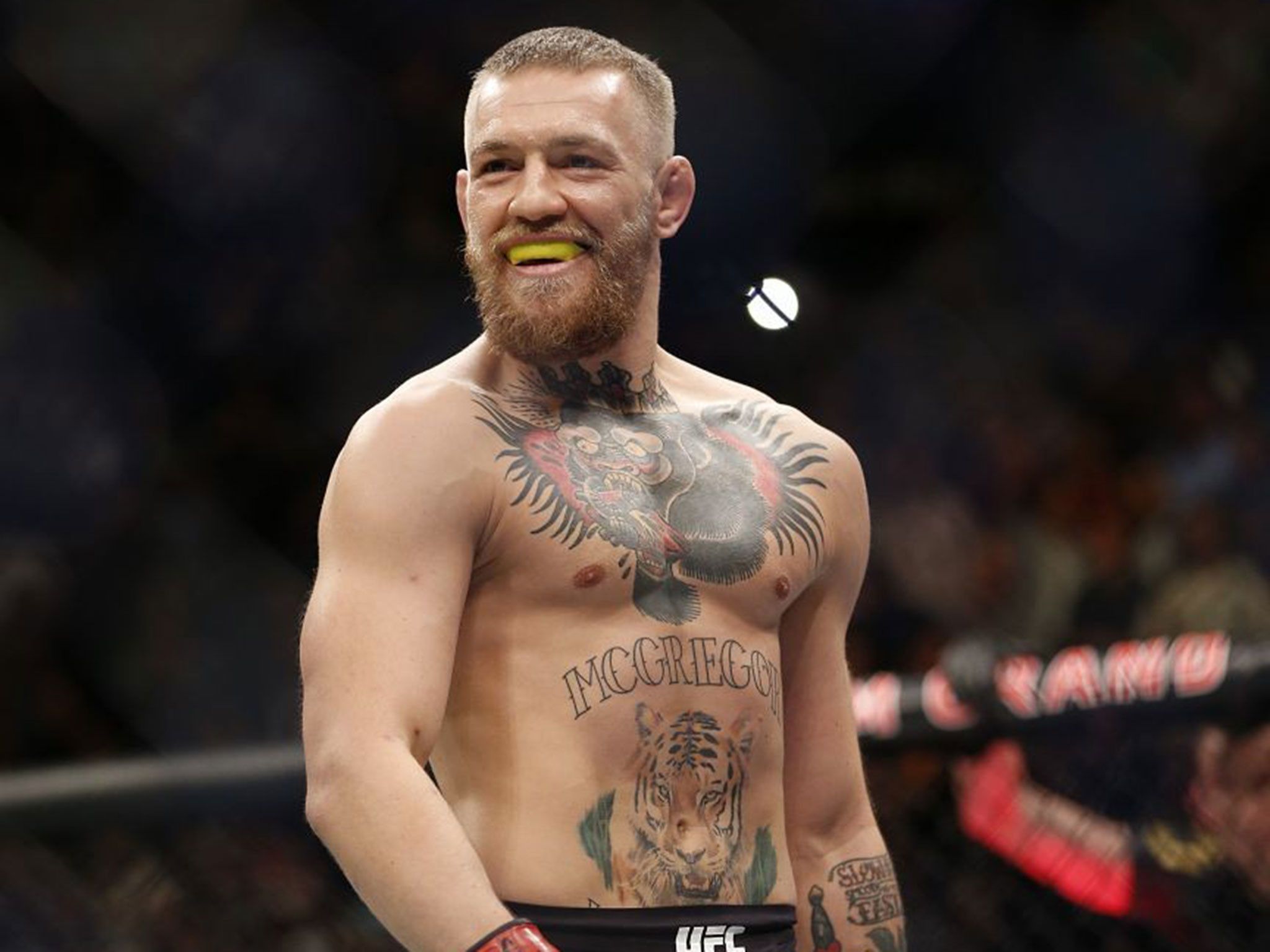 Conor McGregor sorridente ring UFC, 2048x1536 alta risoluzione, Laptop
