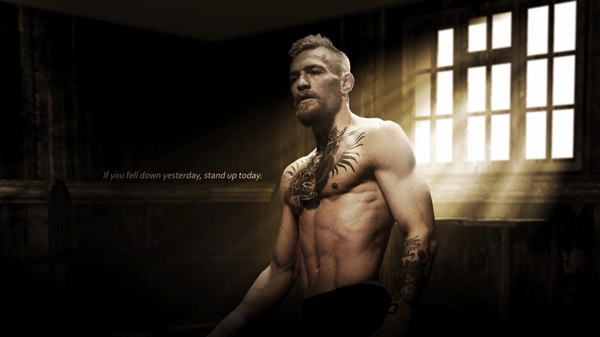 Conor McGregor, stanza illuminata, 1920x1080 1080p, Desktop
