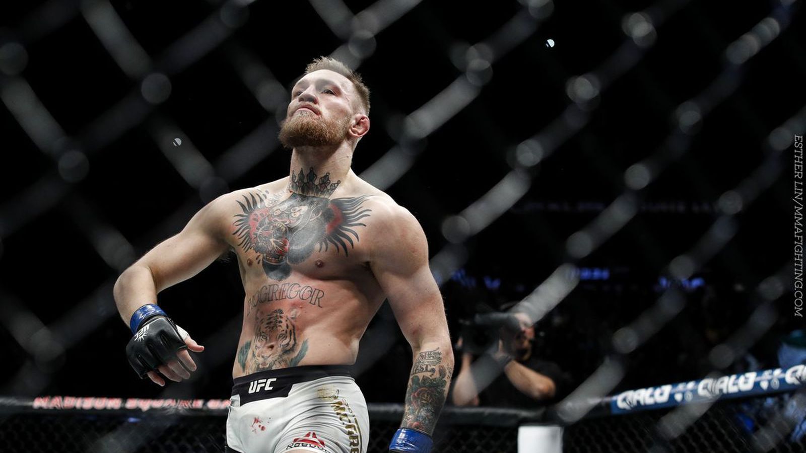Conor McGregor gabbia UFC, 1600x900 900p, Desktop