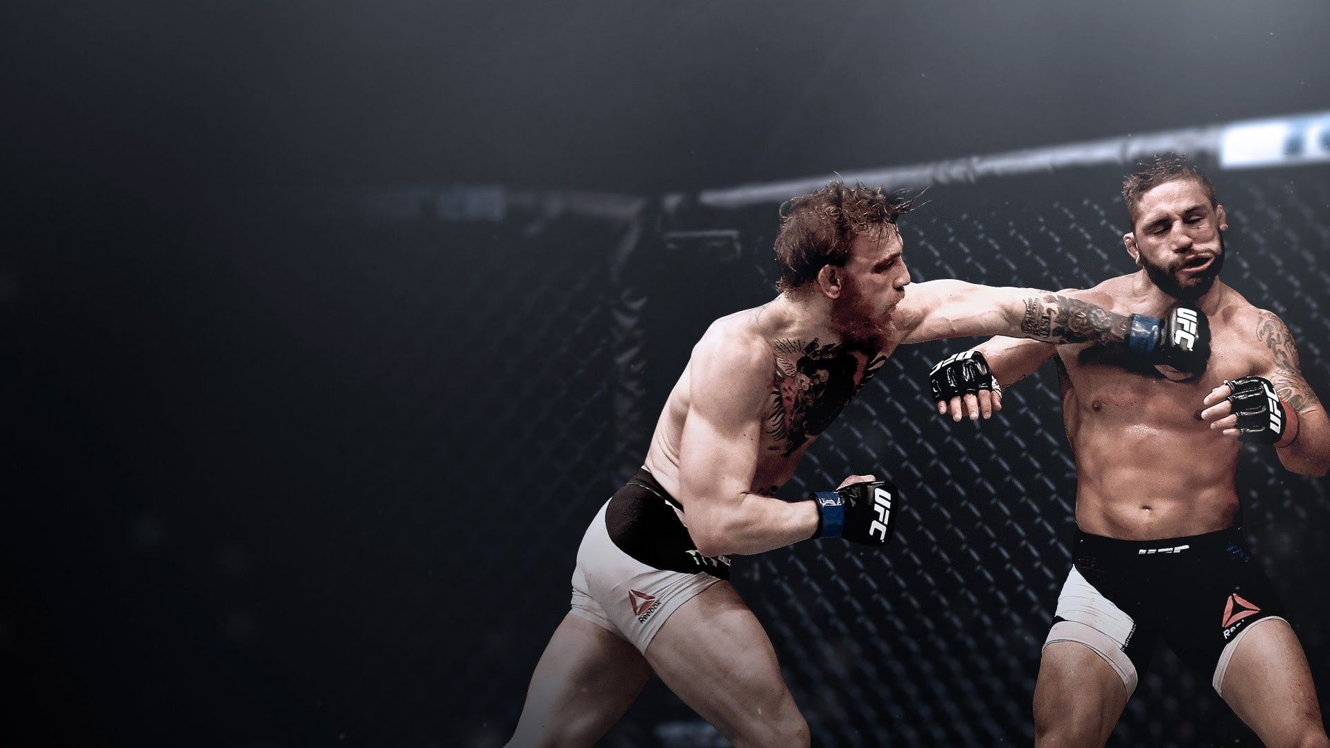 Combattenti UFC in gabbia, 1920x1080 1080p, Laptop