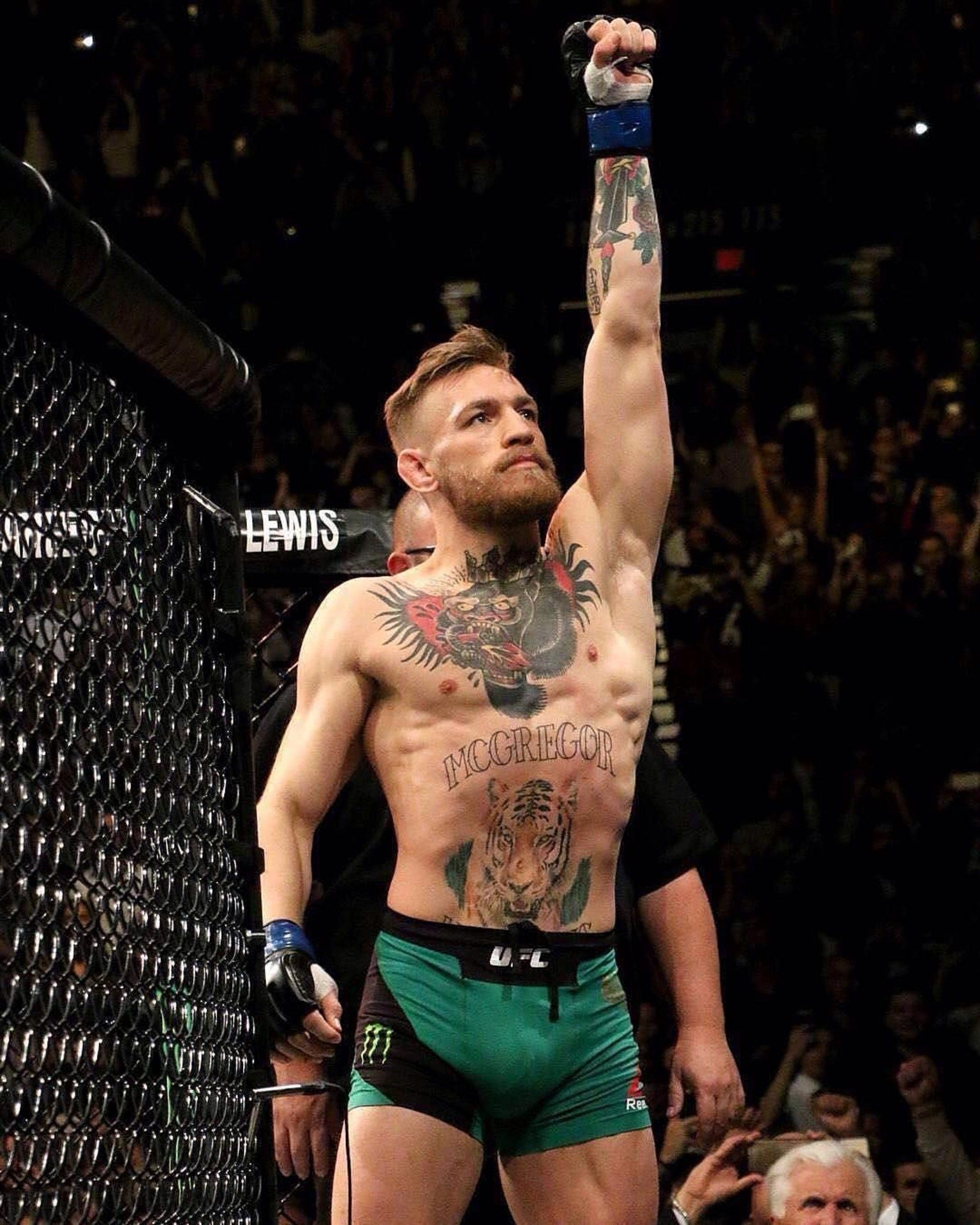 Conor McGregor ring UFC, 1536x1920 Full HD Verticale, iPhone Pro