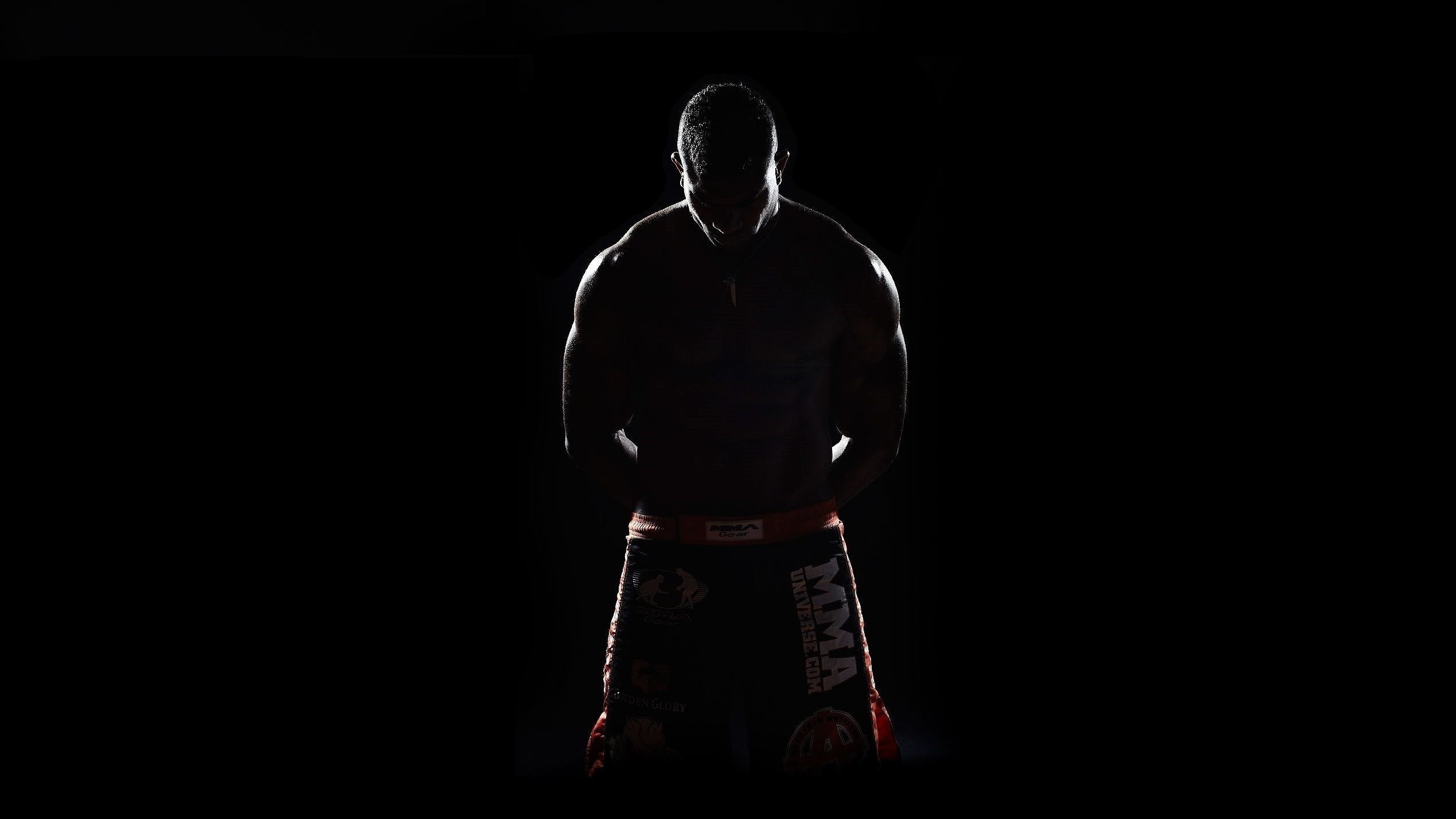 Silhouette lottatore MMA scuro, 2539x1428 Hi-Res, PC