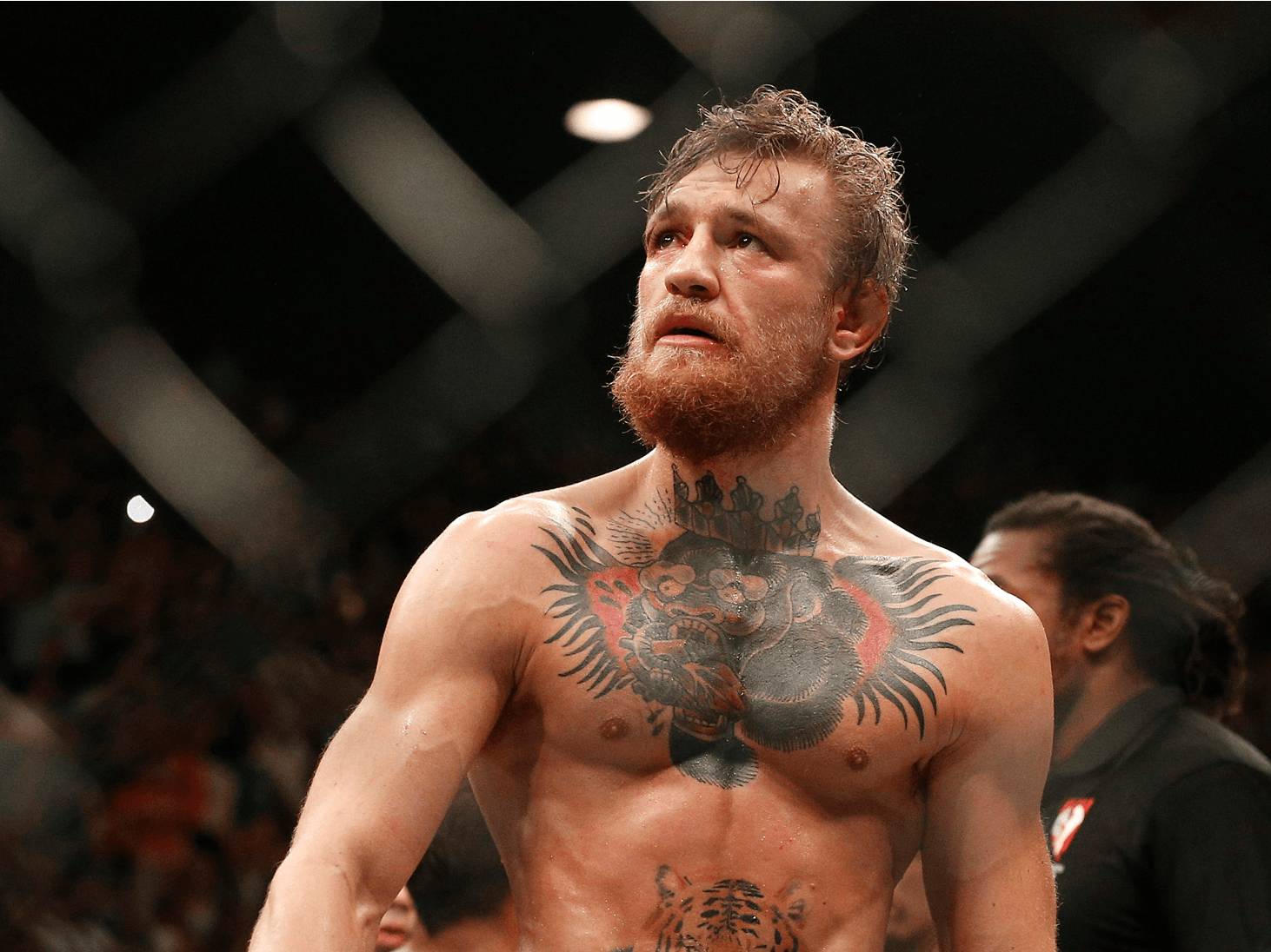 Conor McGregor gabbia UFC, 1462x1096 HD, Desktop