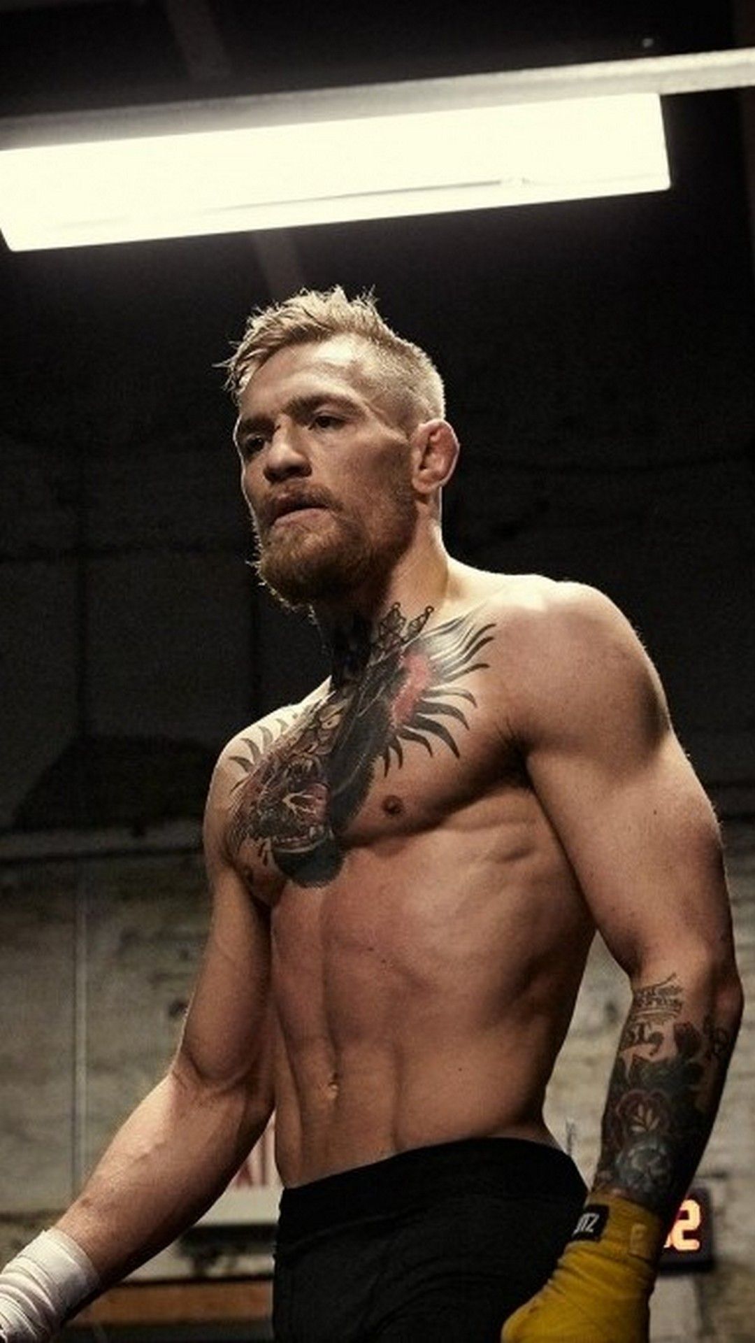 Conor McGregor palestra tatuaggi, MMA, 1080x1920 Verticale, iPhone Air